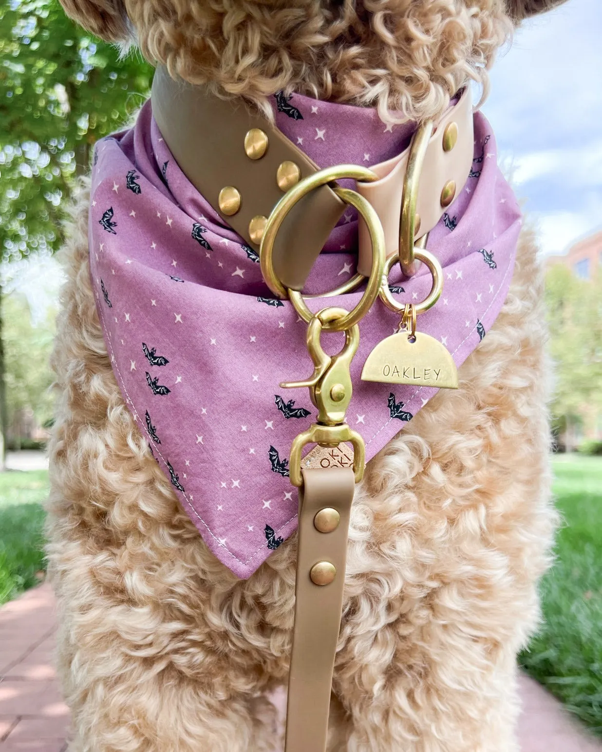 A Little Batty Bandana