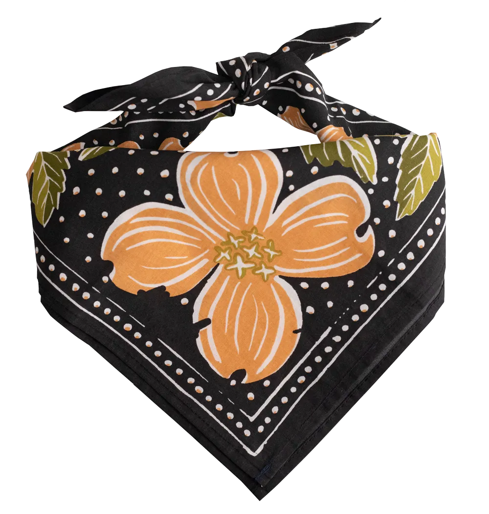 Amy Bandana