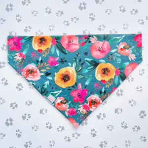 Apricot Begonias Bandana
