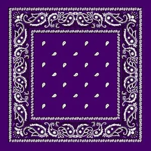 Assorted Bandanas