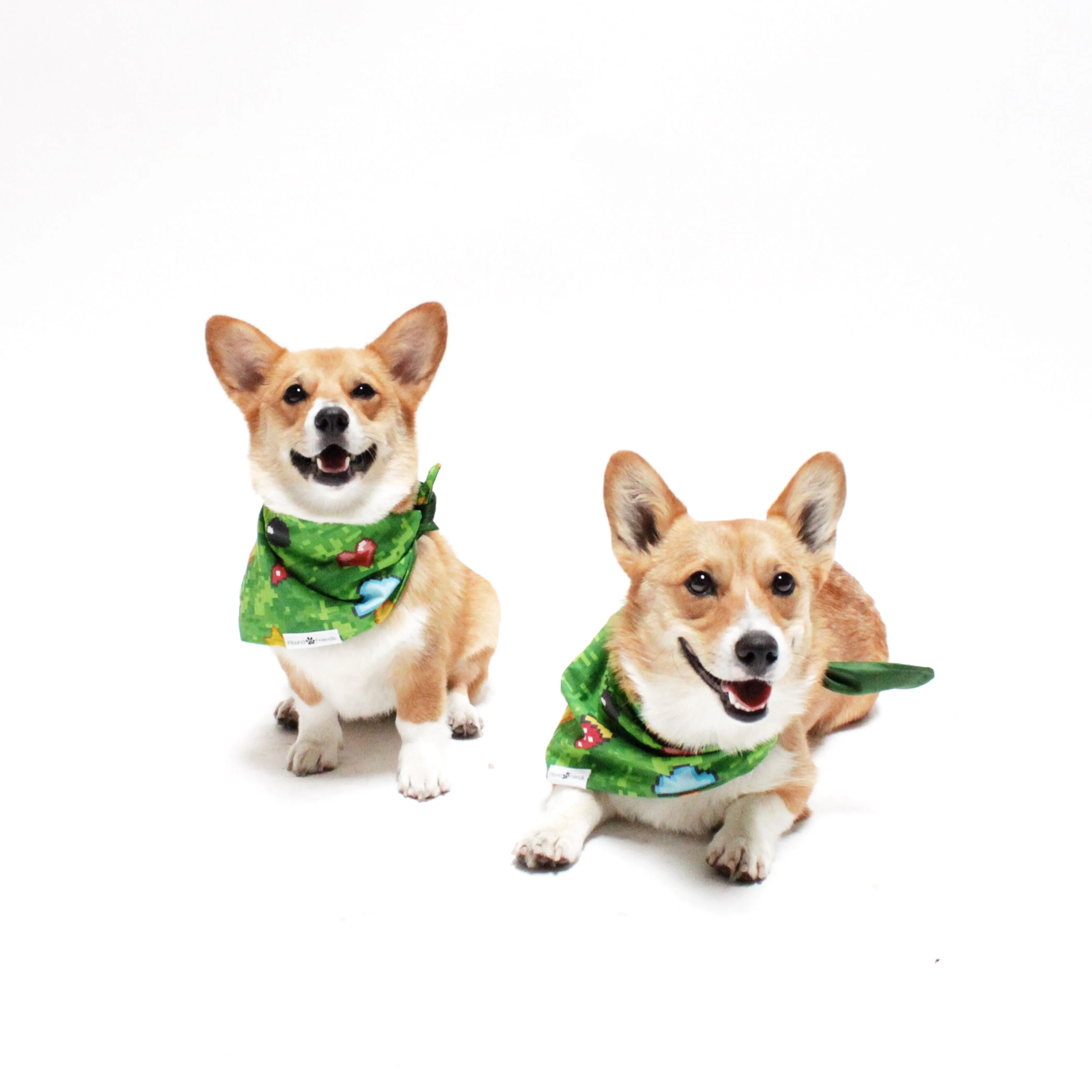 Augie Reversible Bandana