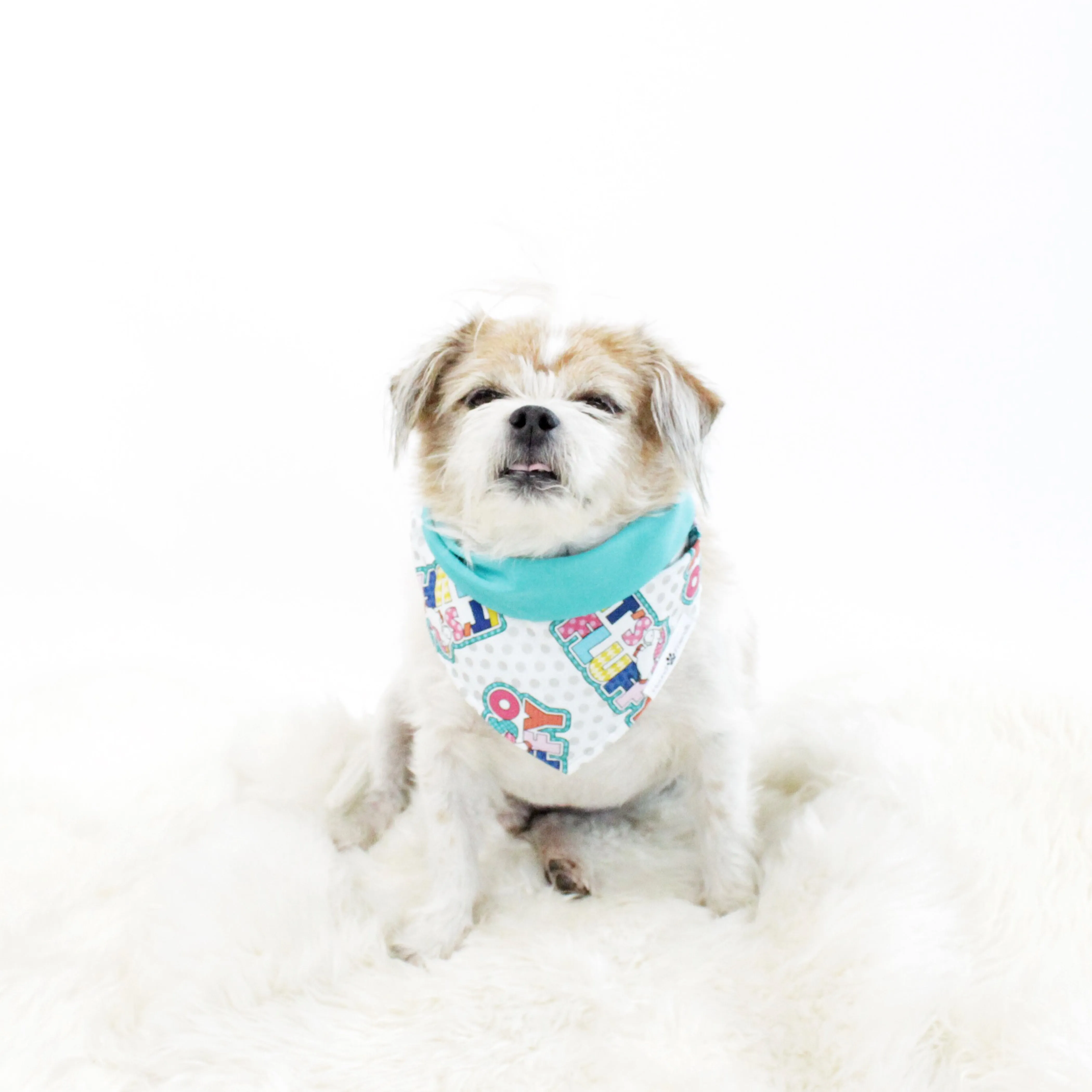 Aurora Reversible Bandana