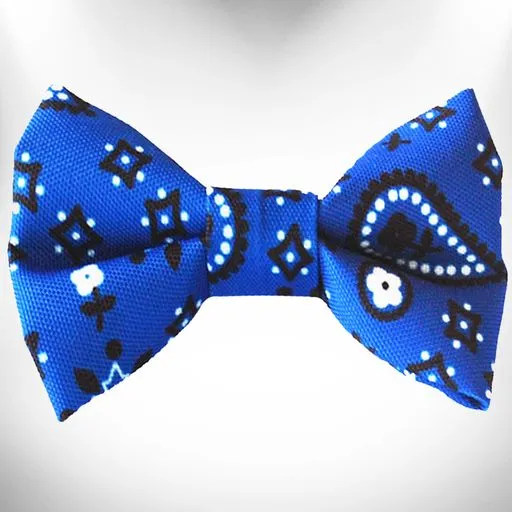 Bandana Dog Collars, Leads, and Bows - 2 Styles