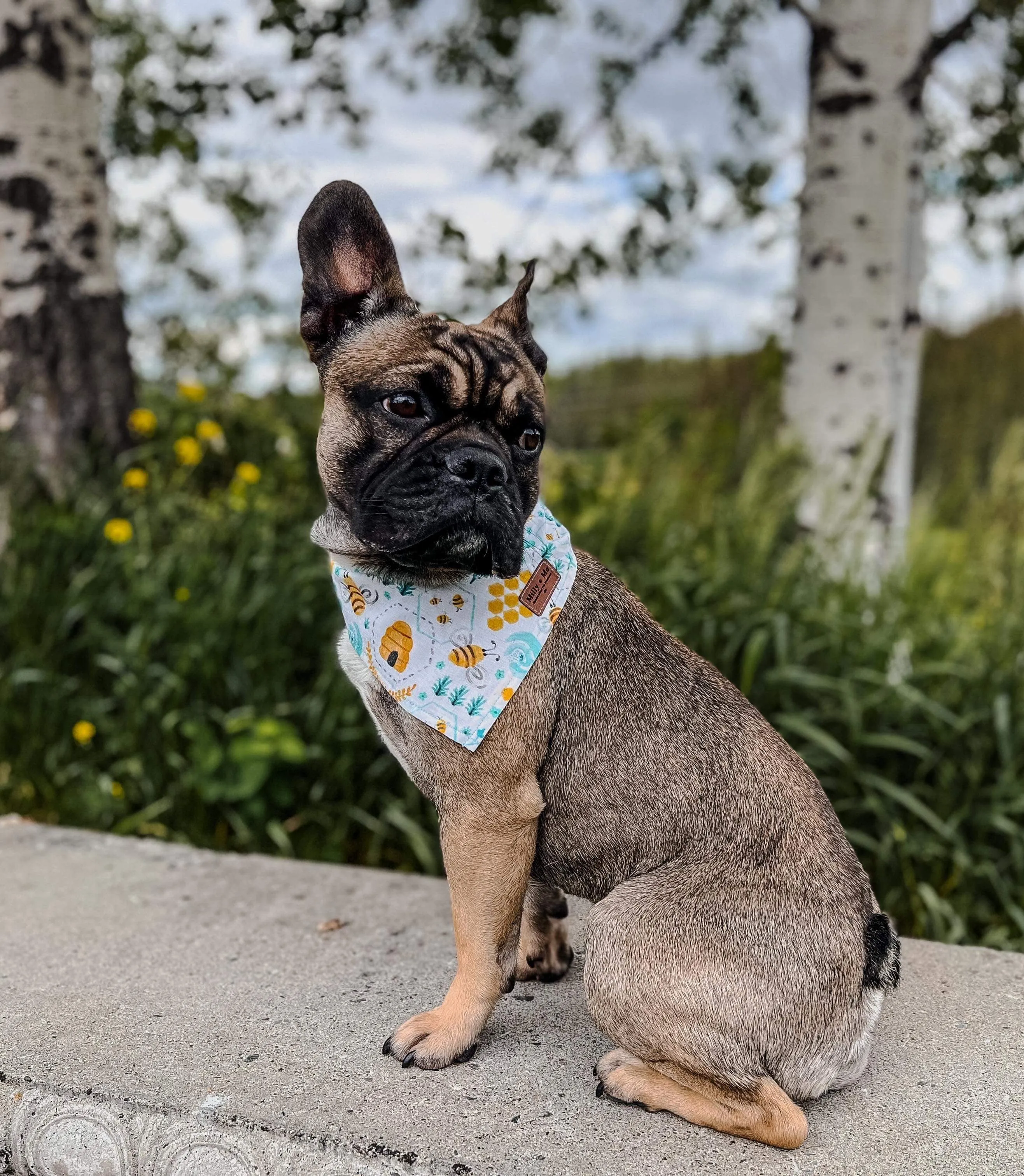 Busy Bees - Pet Bandana