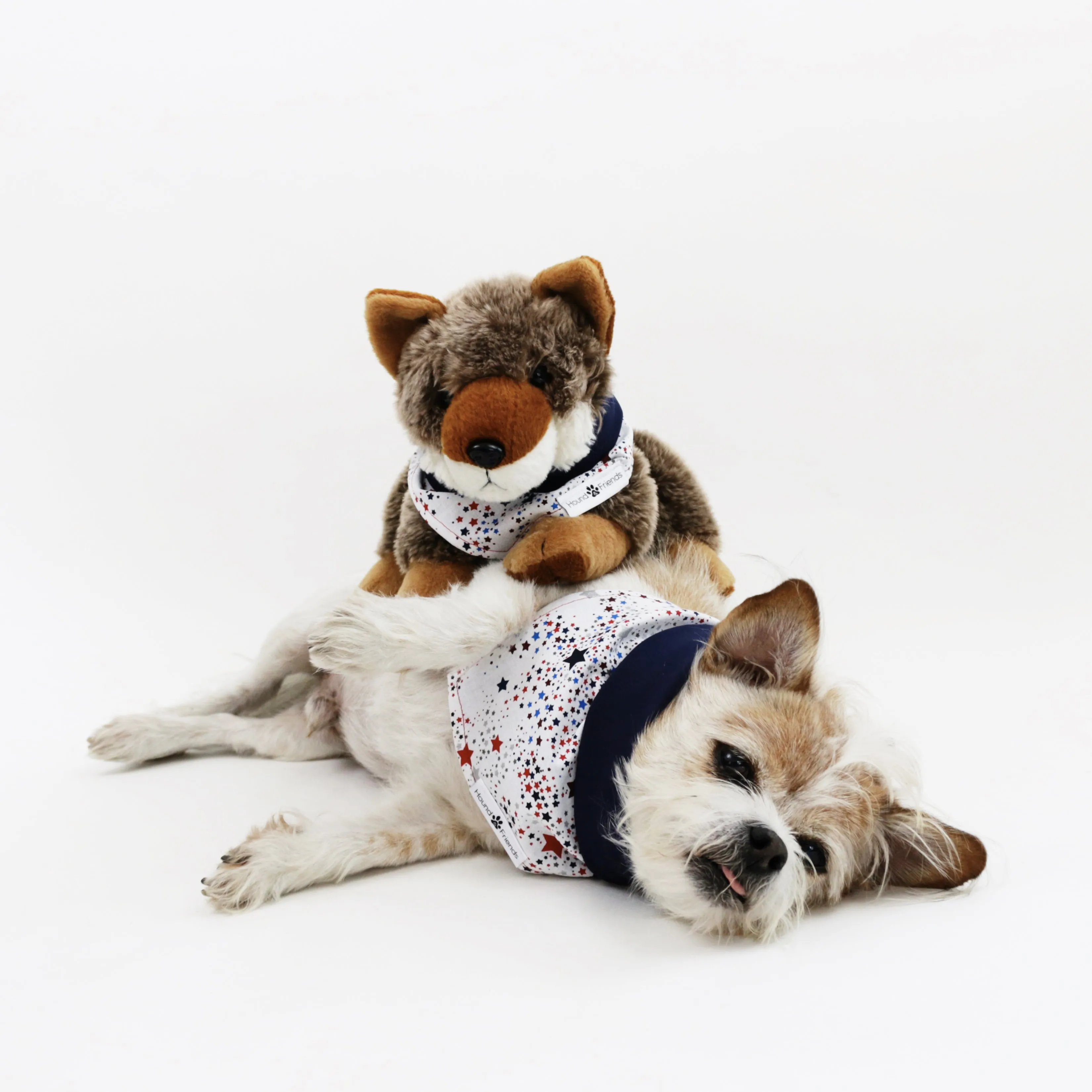 Captain Reversible Bandana