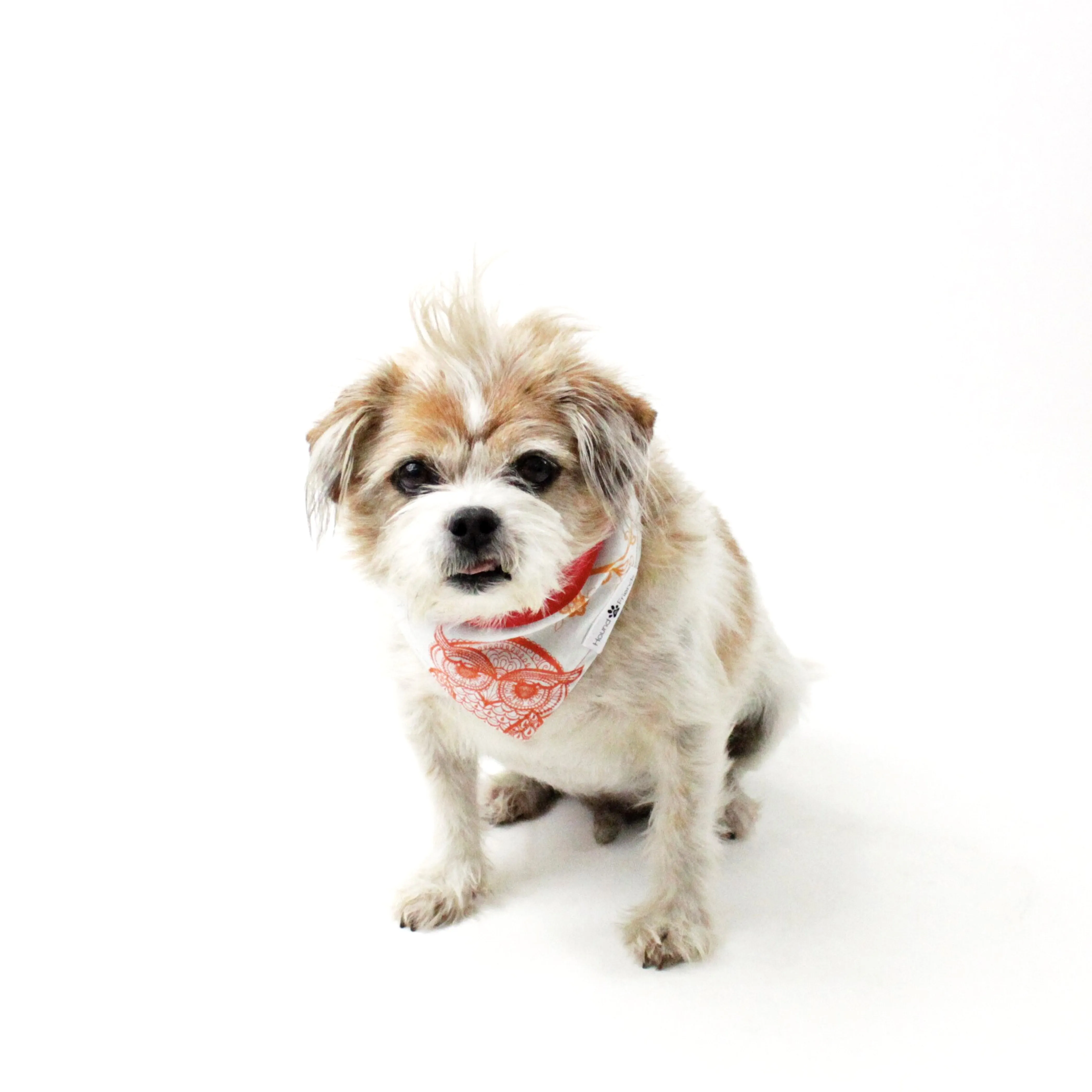 Characters/Animals Bandana Bundles
