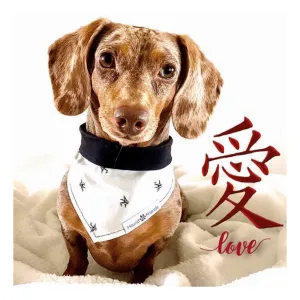 Characters/Animals Bandana Bundles