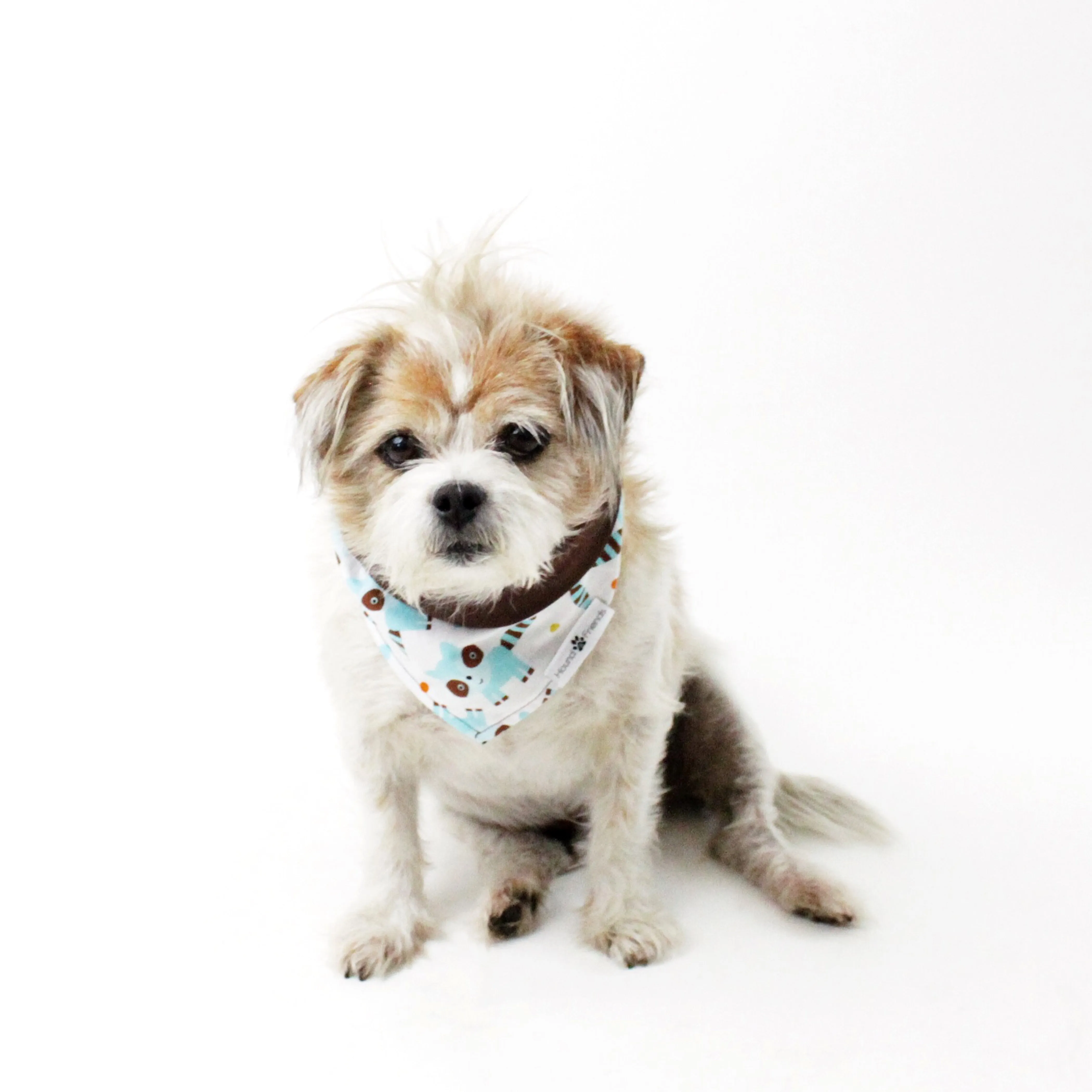 Characters/Animals Bandana Bundles