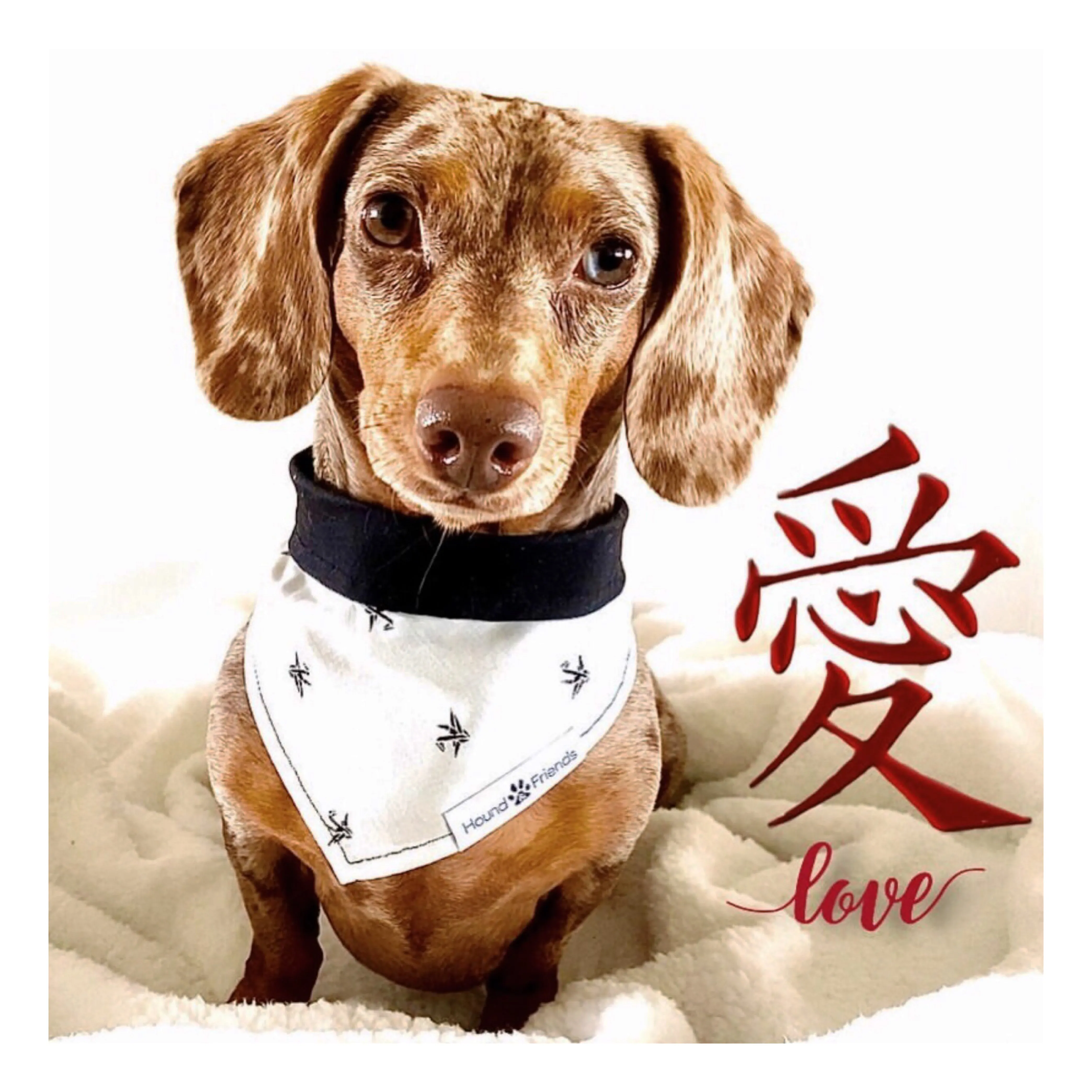 Characters/Animals Bandana Bundles