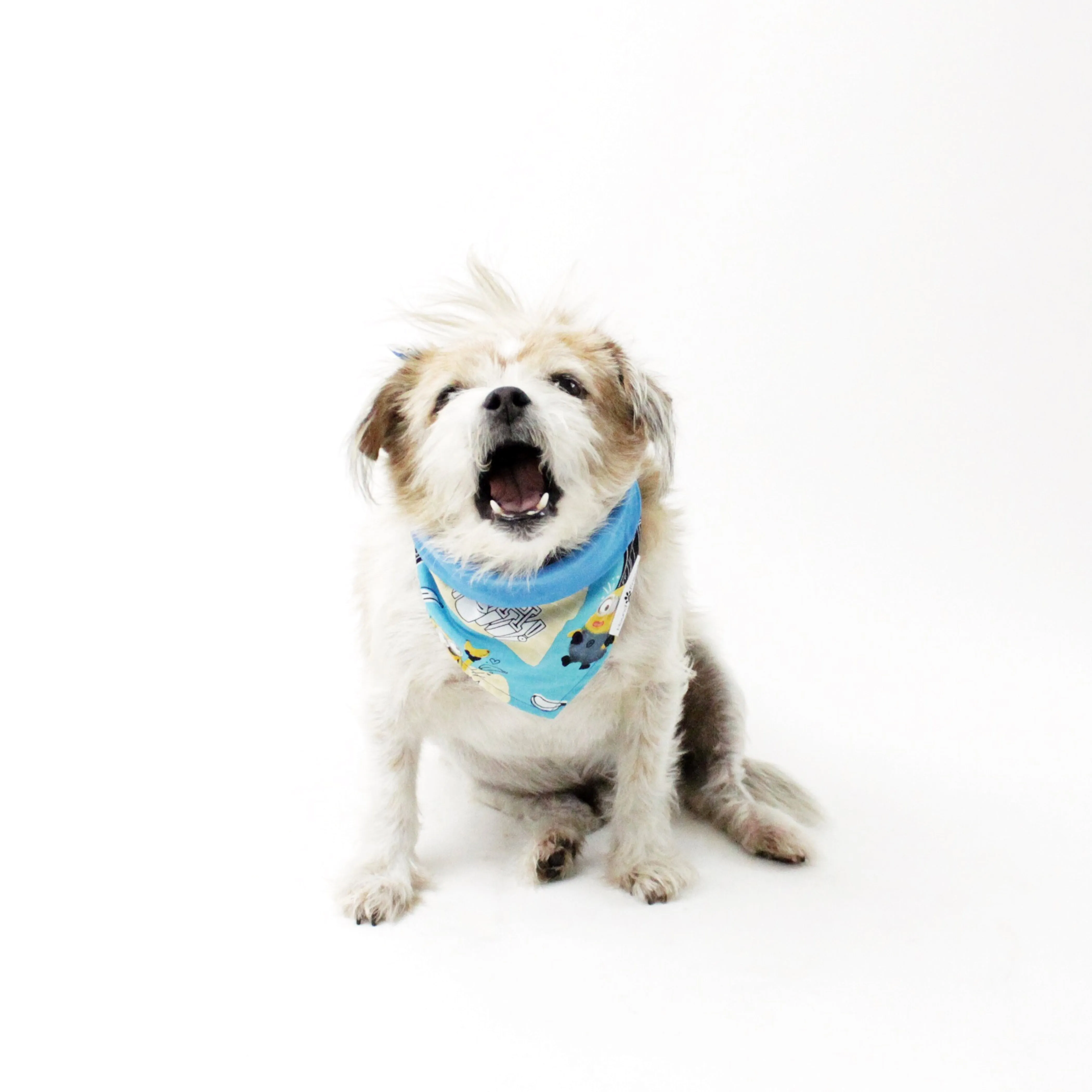 Characters/Animals Bandana Bundles
