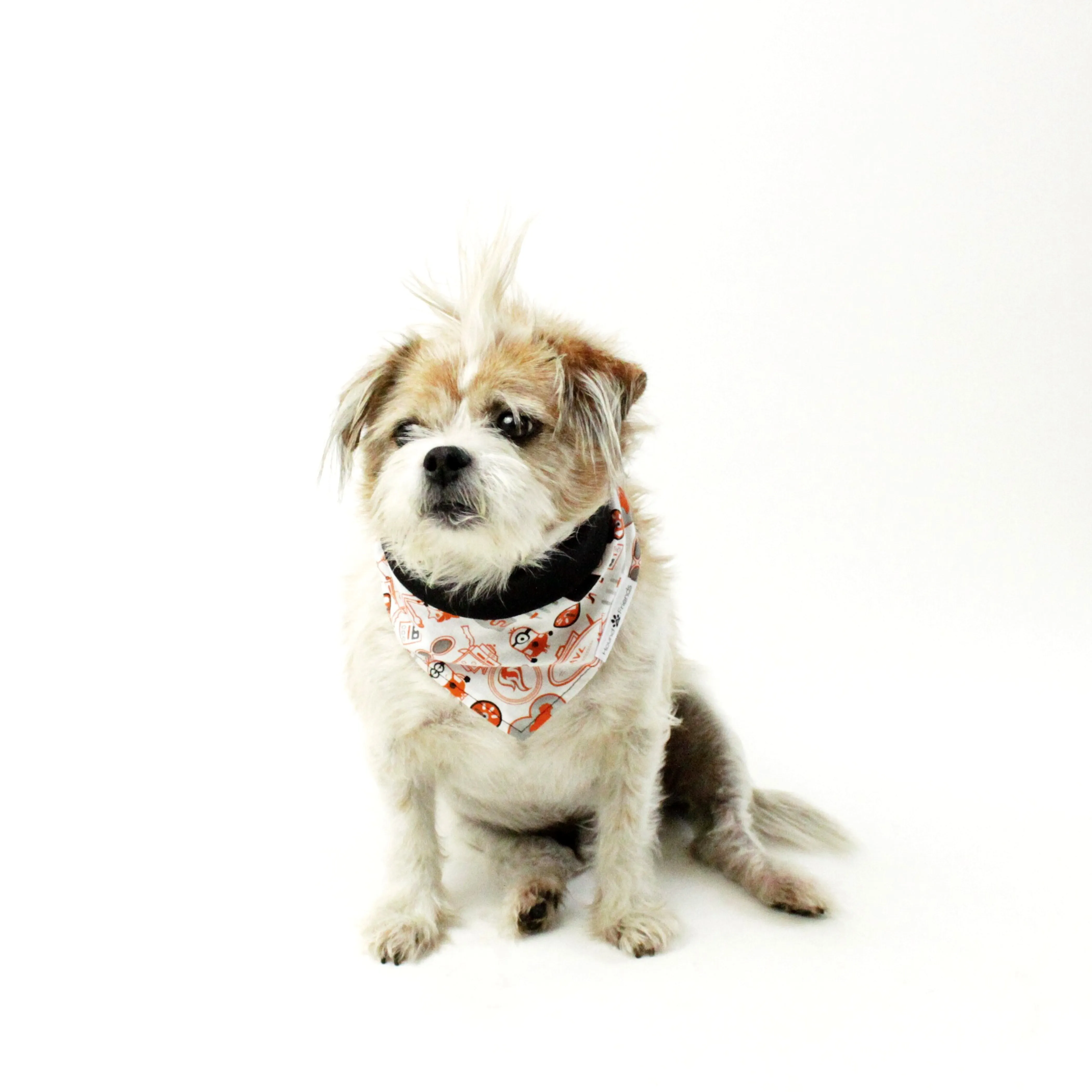 Characters/Animals Bandana Bundles