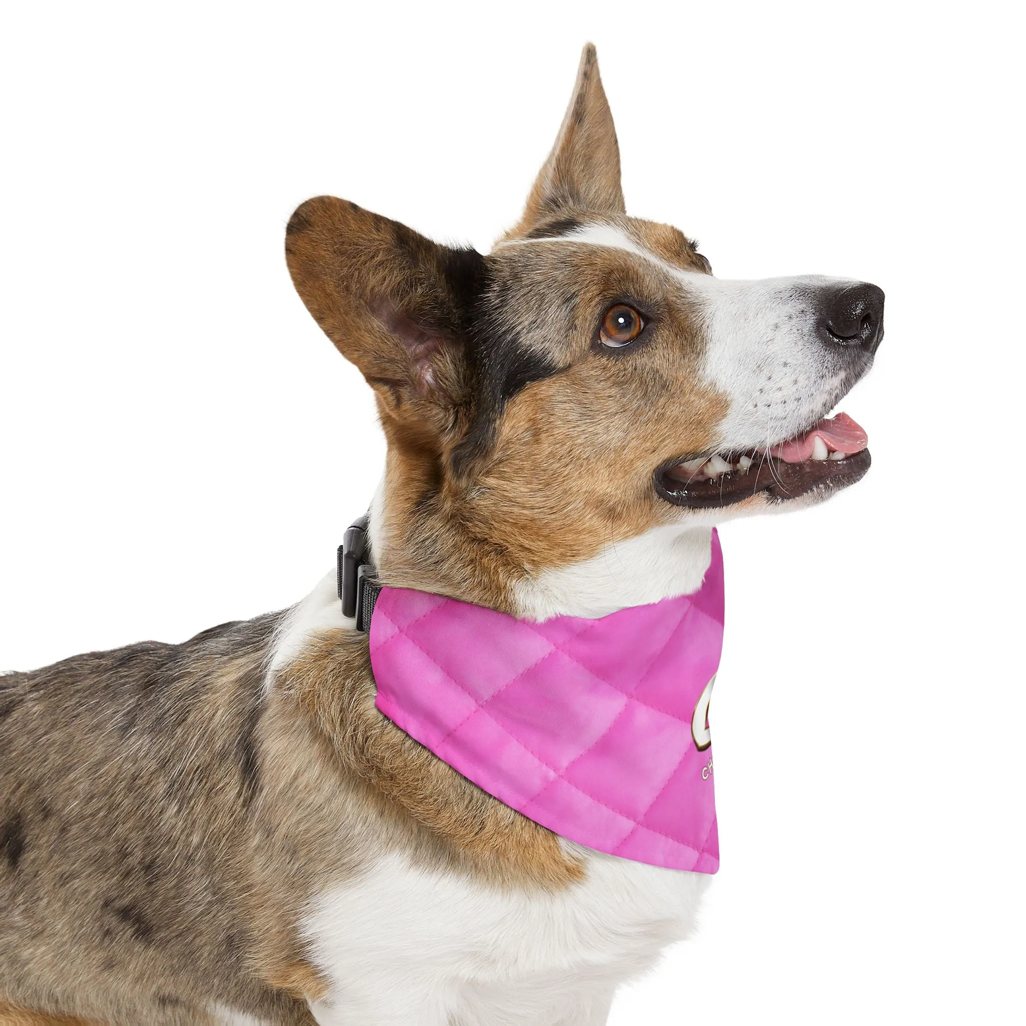 Chewnel Faux-Designer Pet Bandana Collar