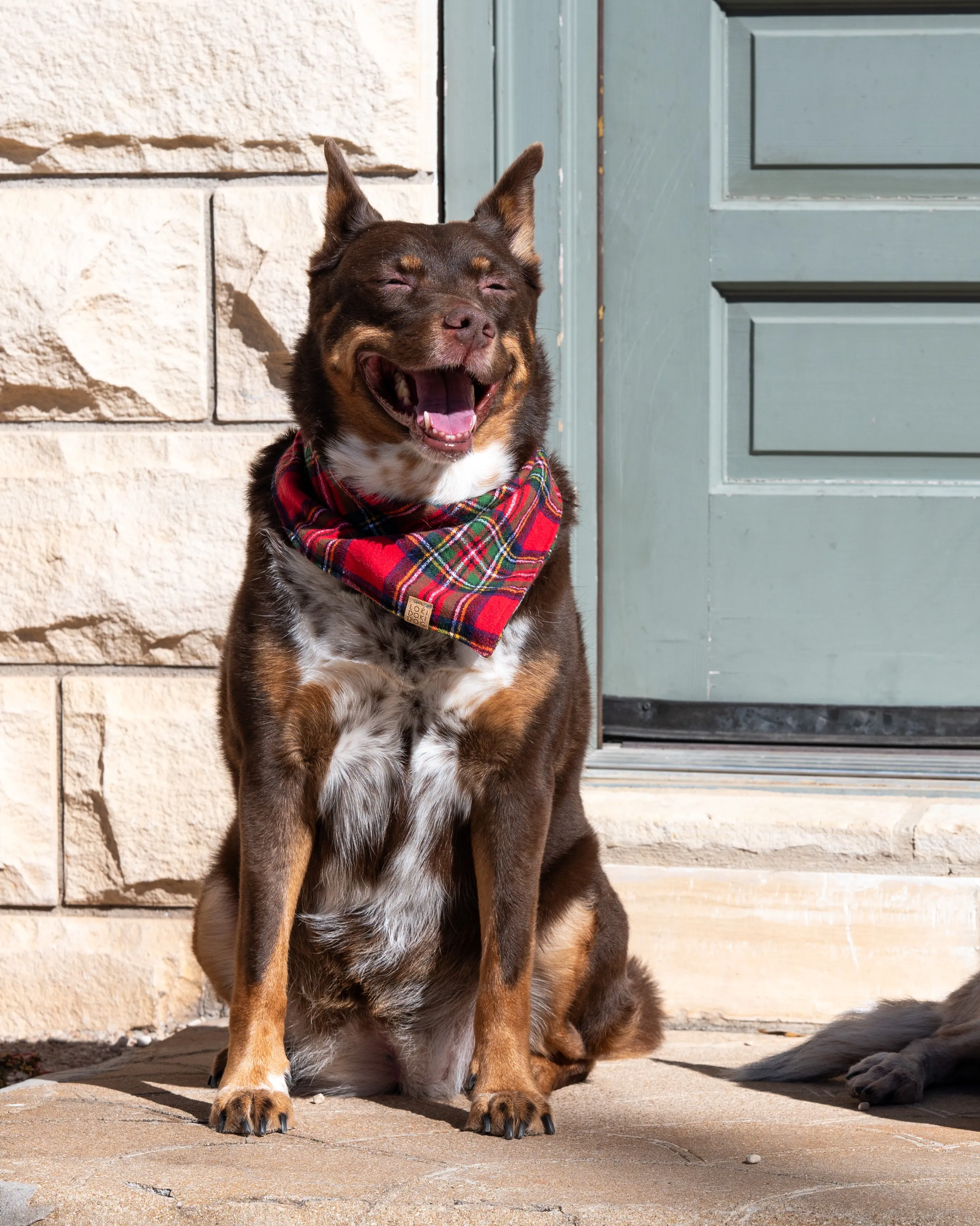 Christmas Tartan Flannel Plaid Dog Bandana (Personalization Available)