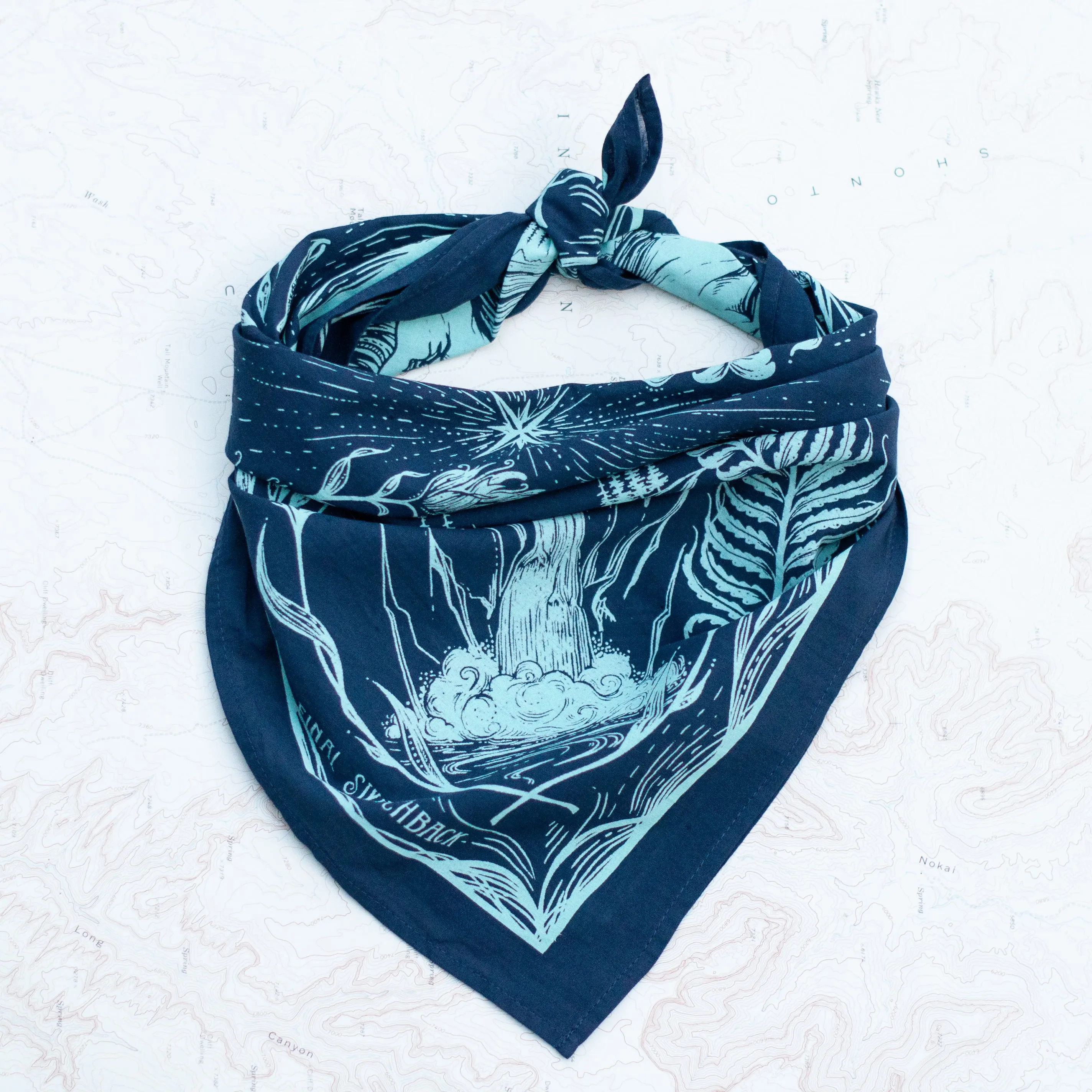 Cotton Bandanas