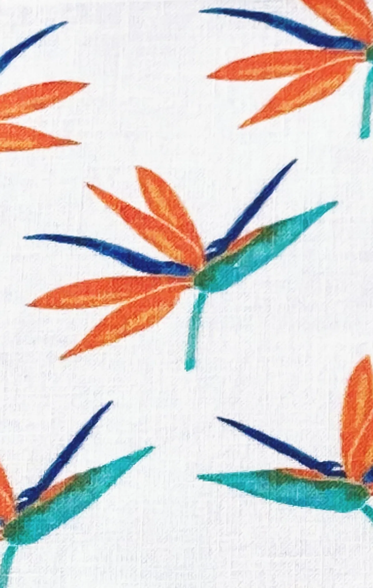 Dog Bandanas - Bird of Paradise