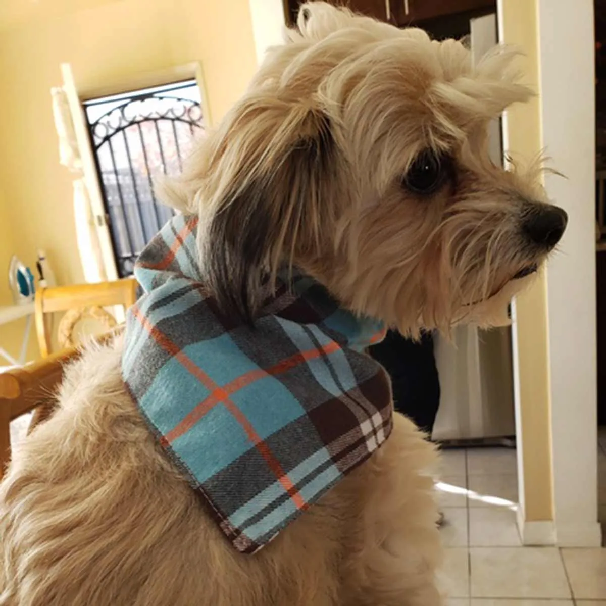 Dog Bandanas - Plaid Flannel