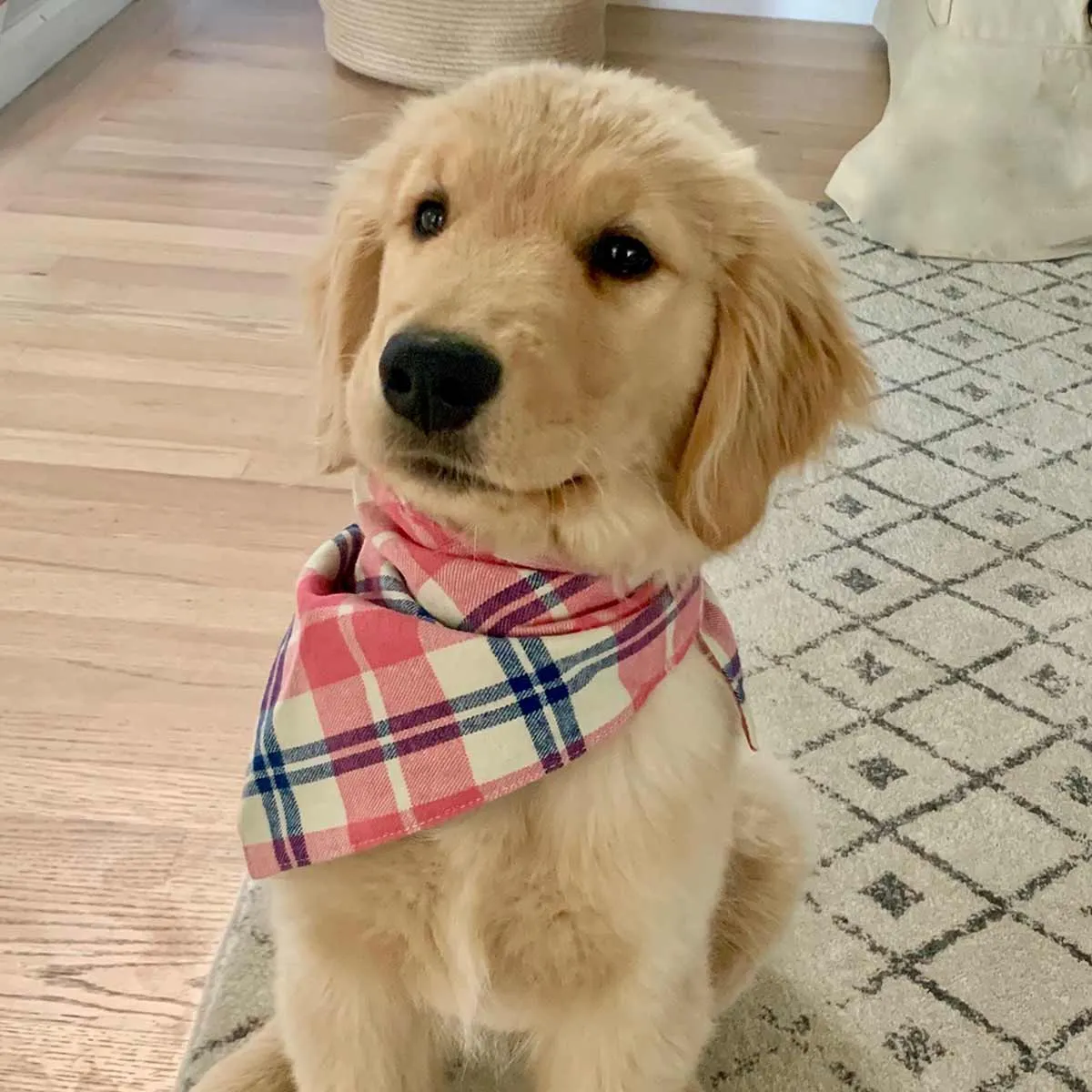 Dog Bandanas - Plaid Flannel