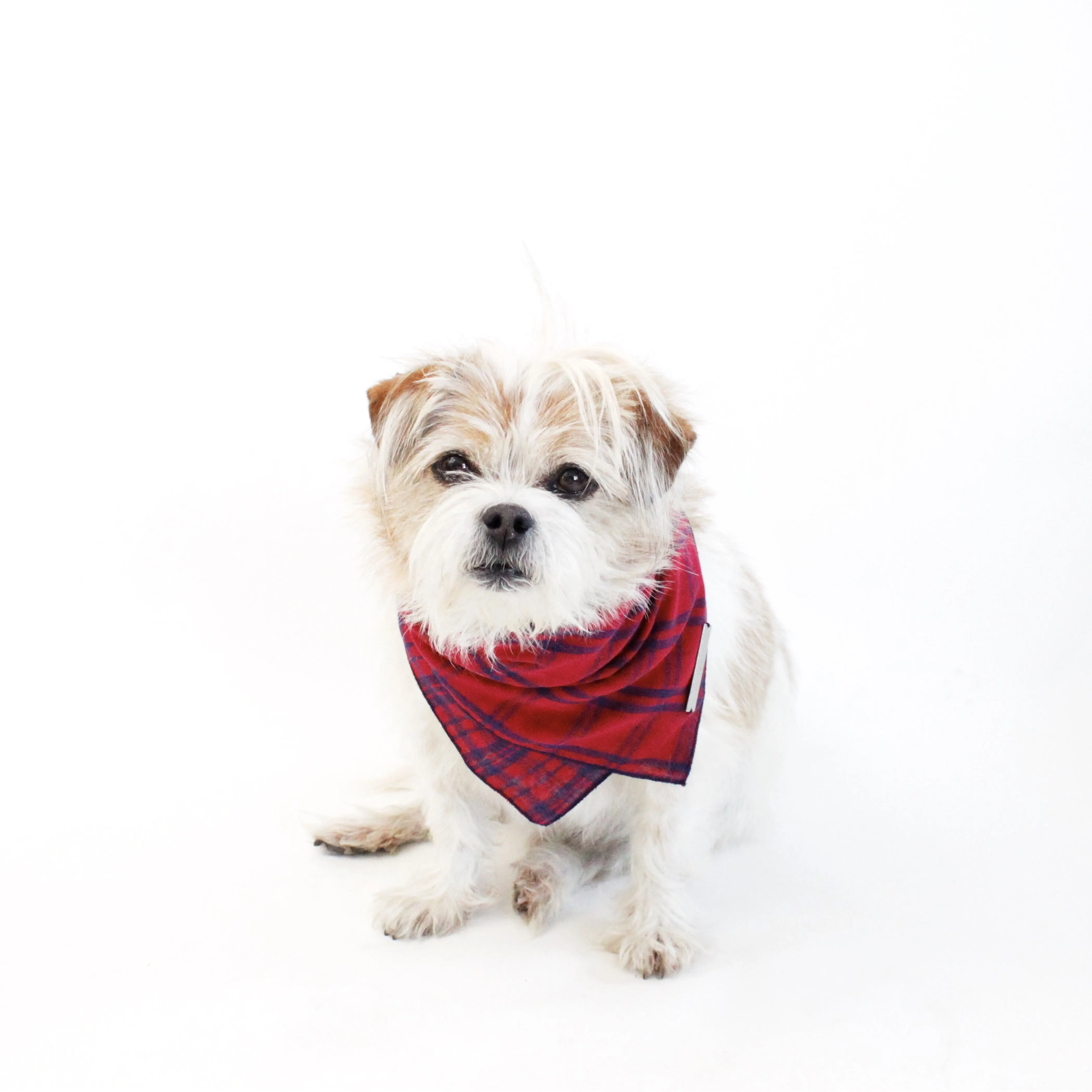 Fientje Reversible Scarf Bandana