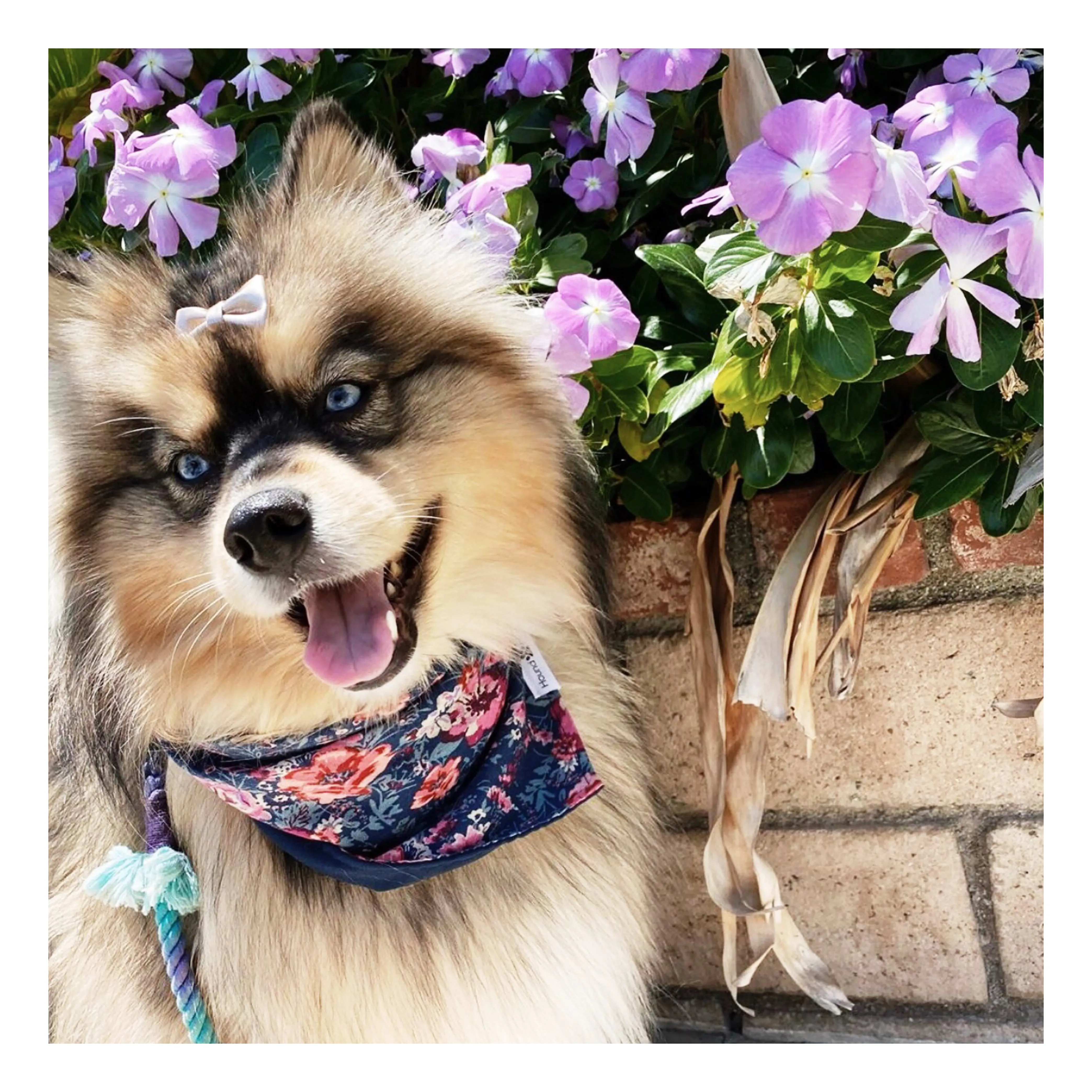 Florals Bandana Bundles