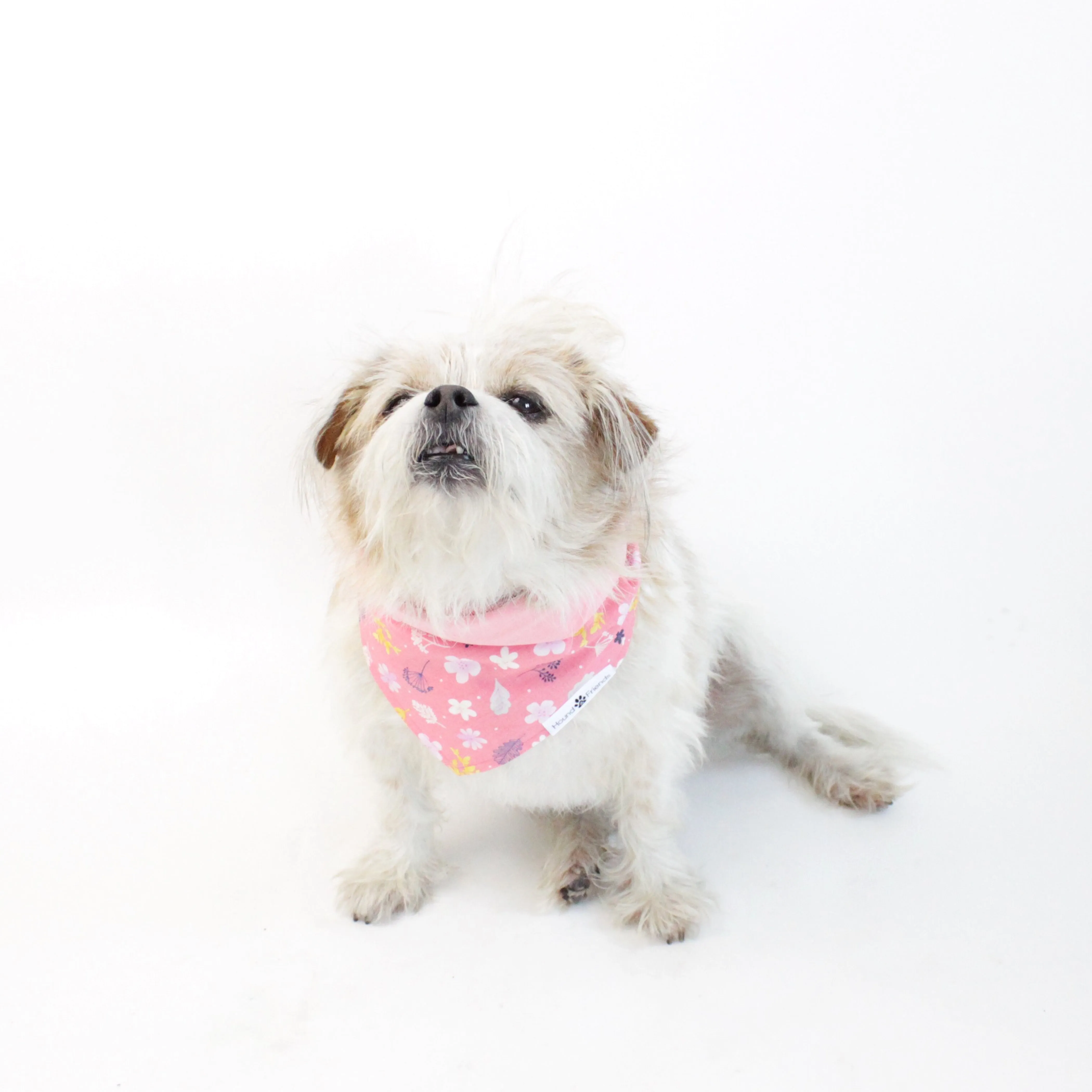 Florals Bandana Bundles