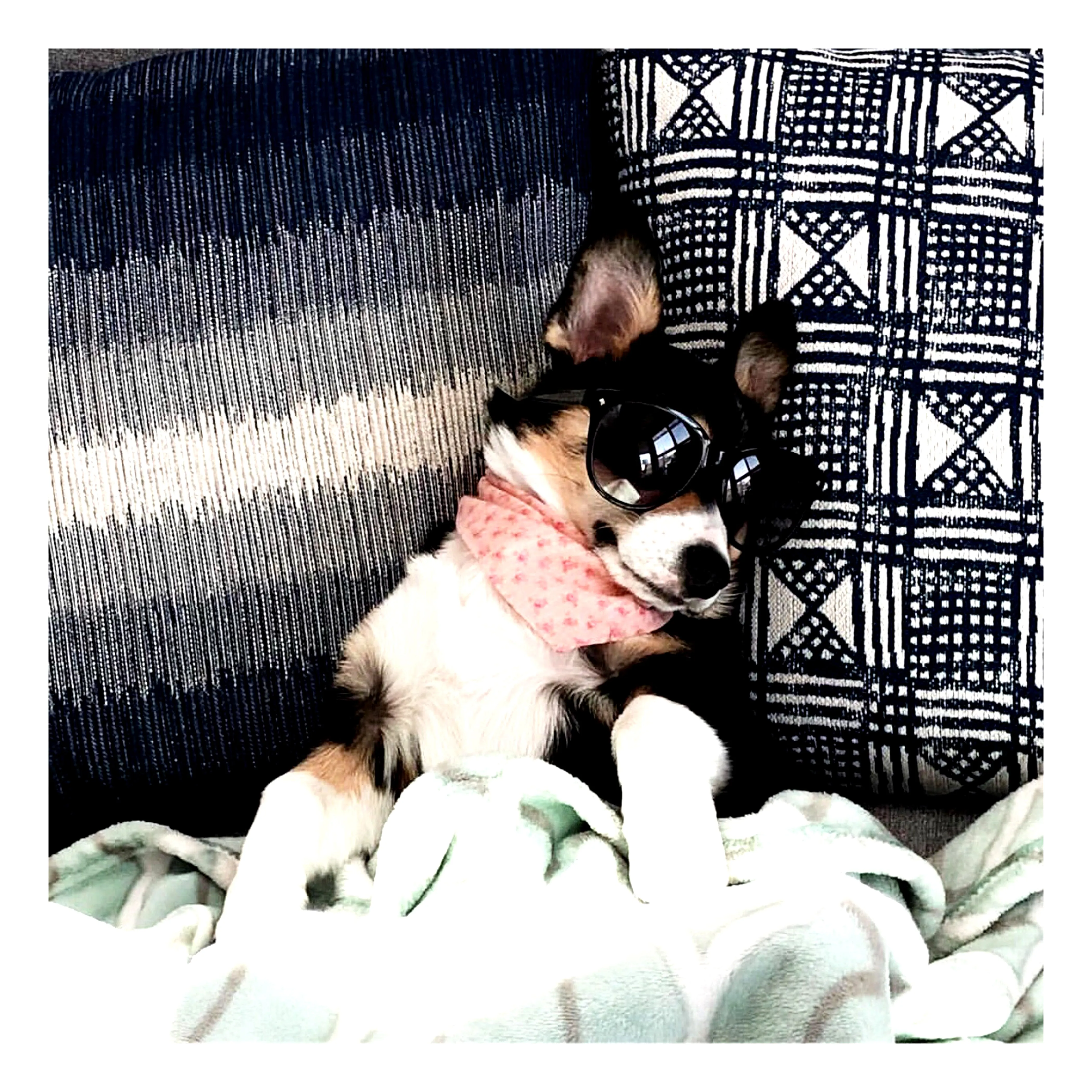 Florals Bandana Bundles