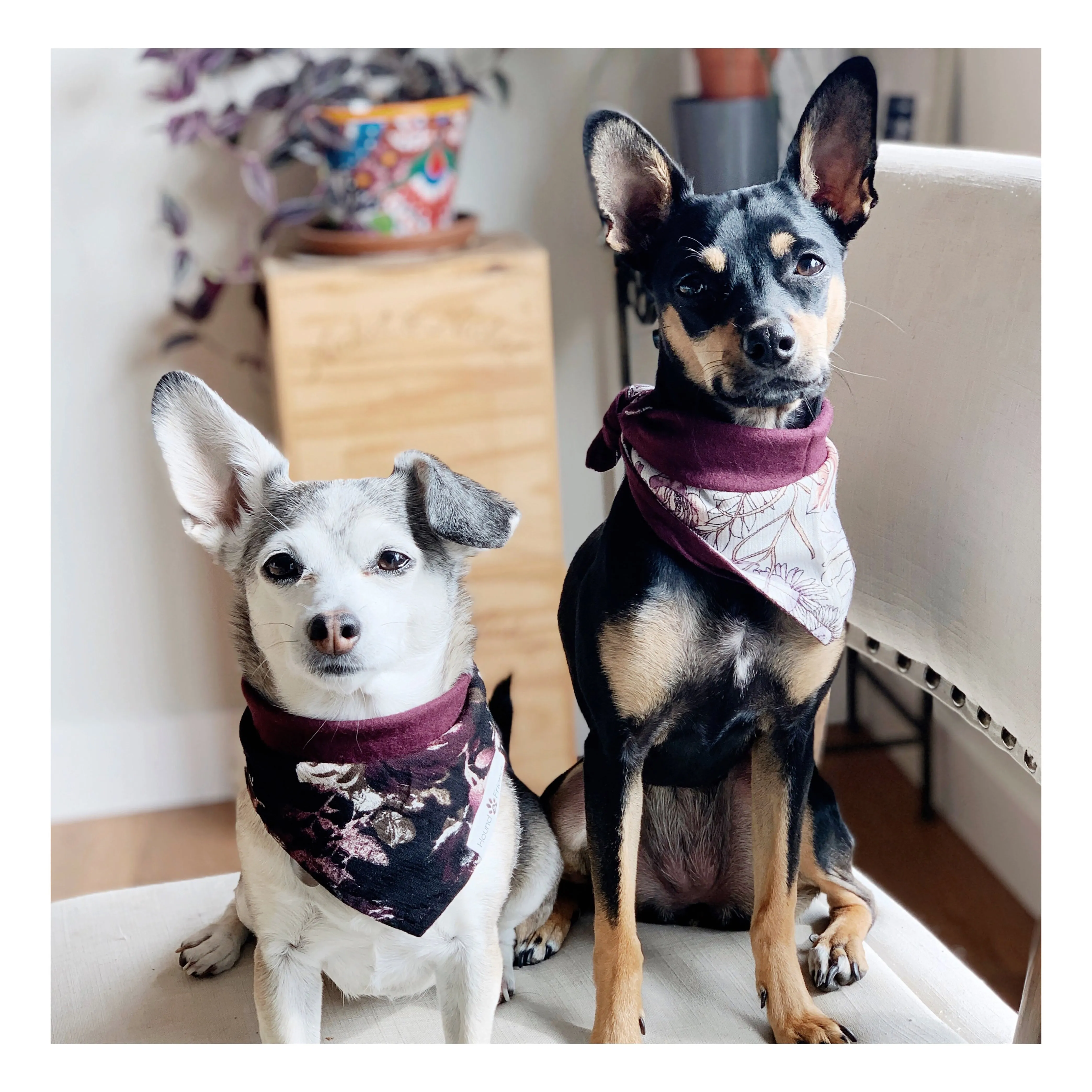 Florals Bandana Bundles