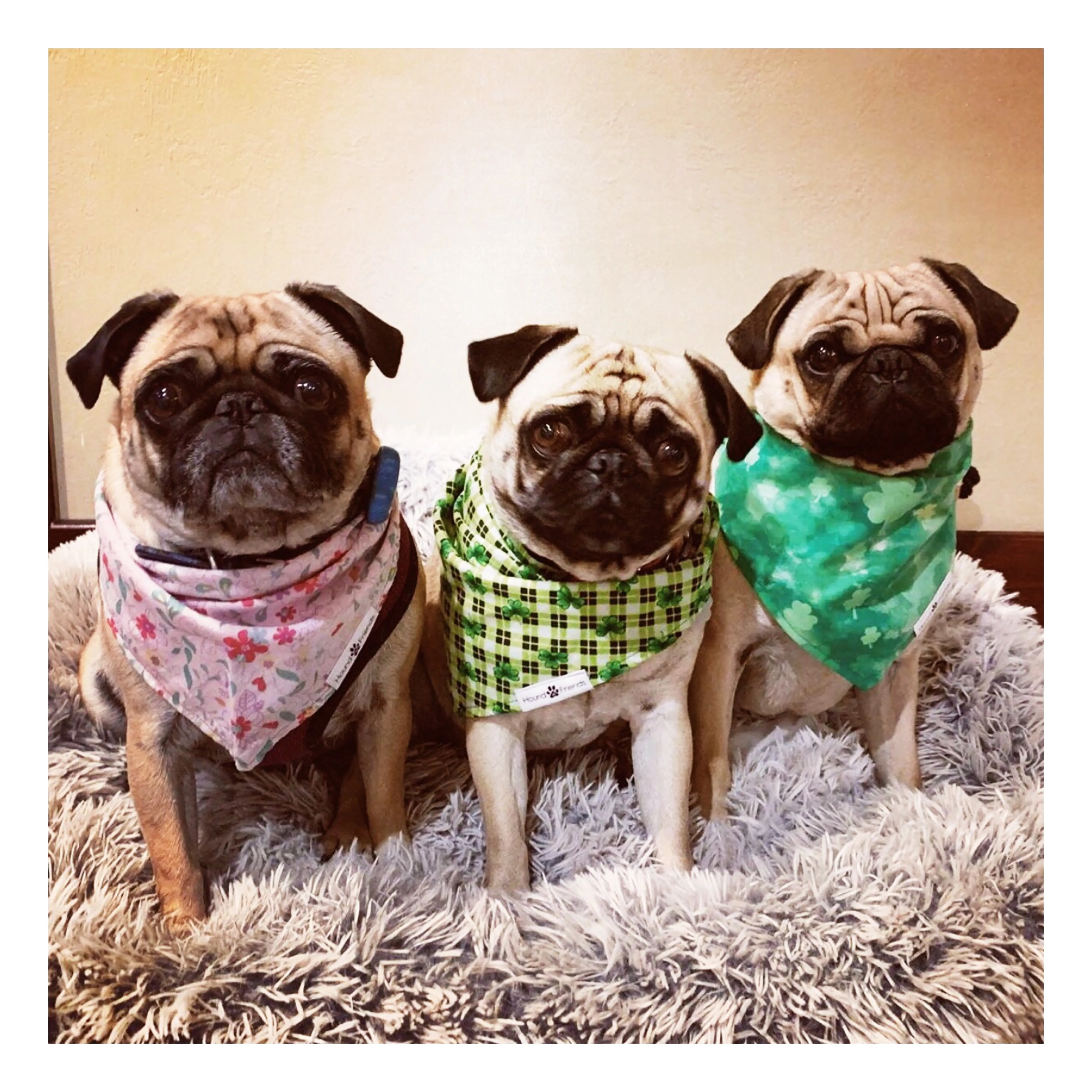 Florals Bandana Bundles