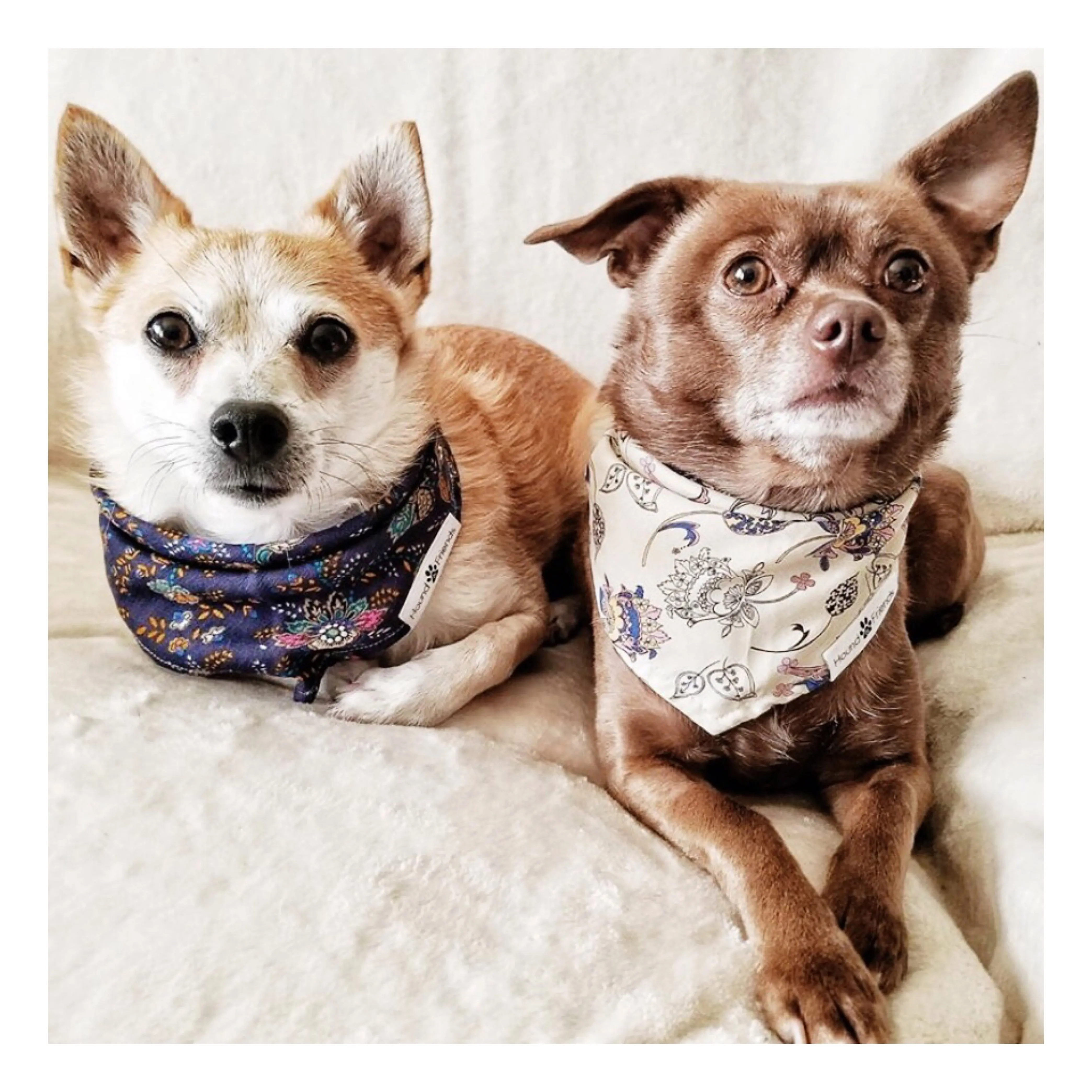 Florals Bandana Bundles