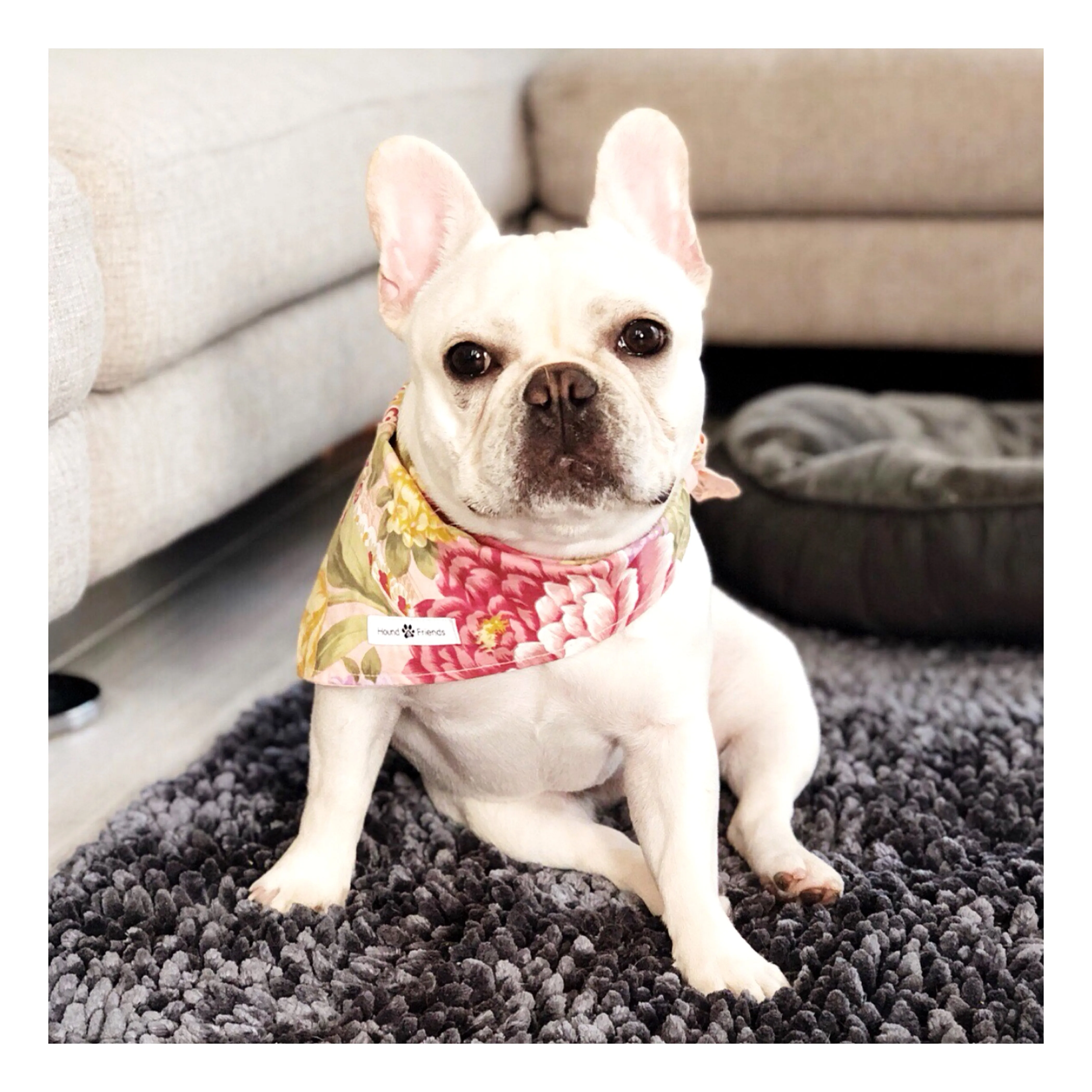 Florals Bandana Bundles