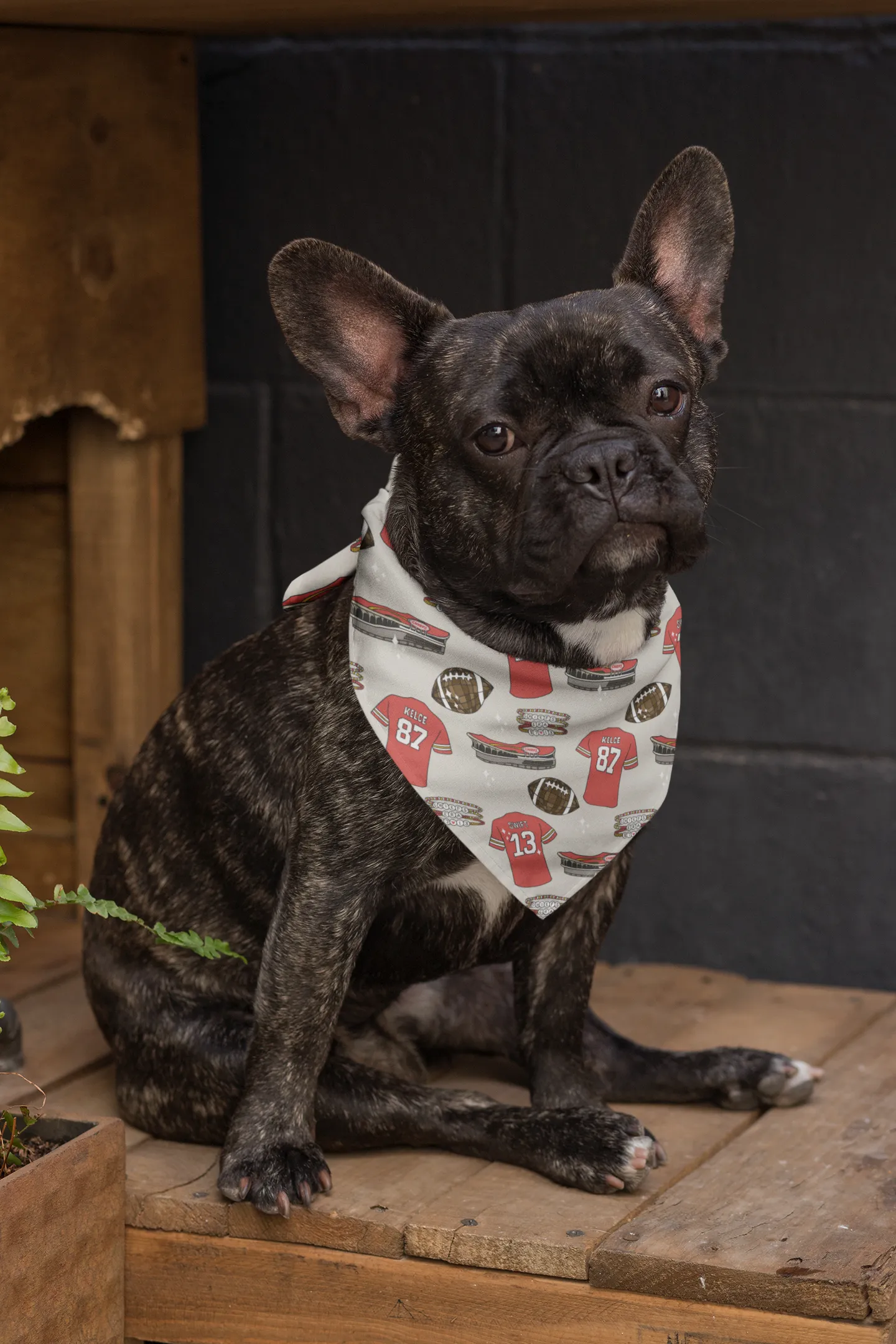 'Football Era' Dog Bandana