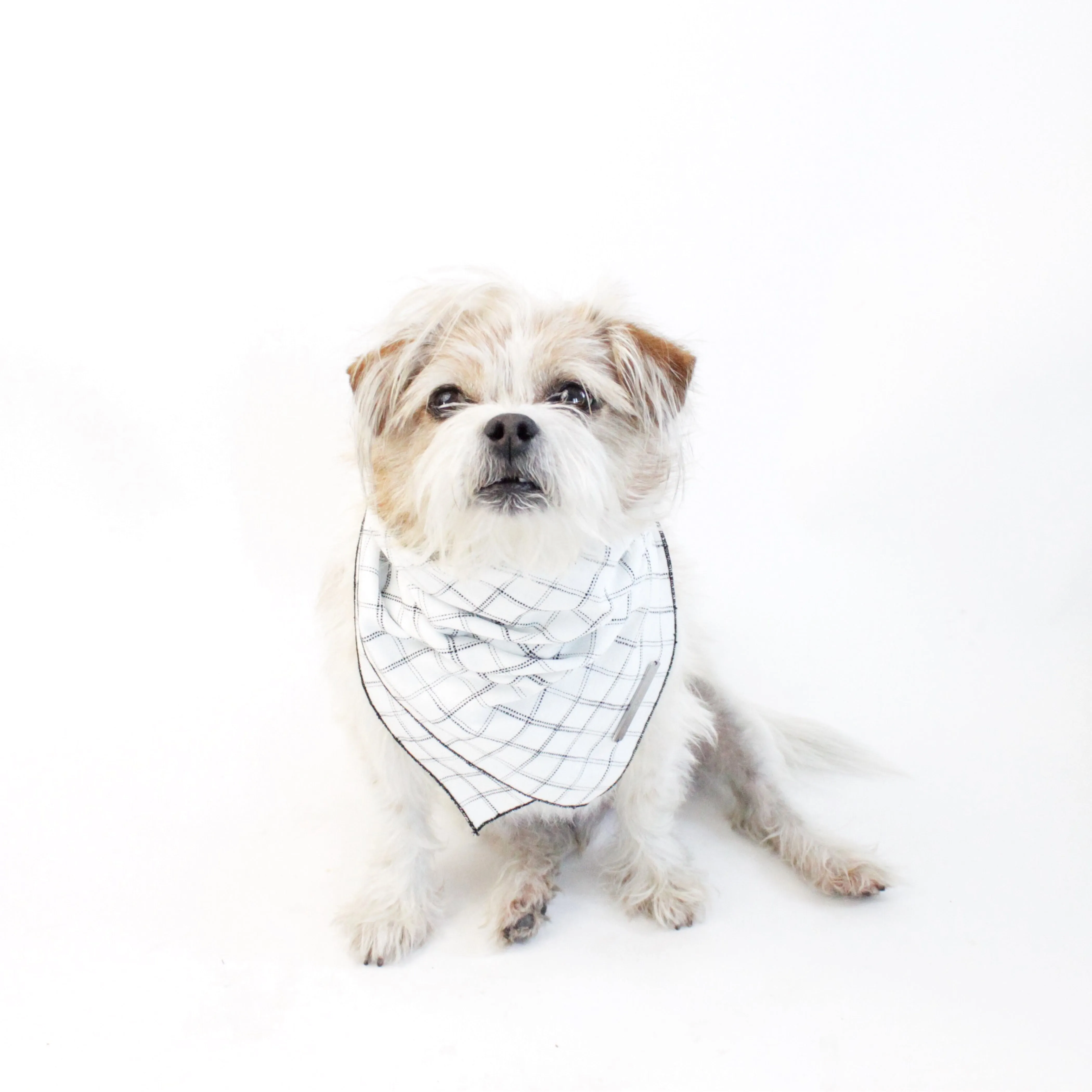 Gus Reversible Scarf Bandana