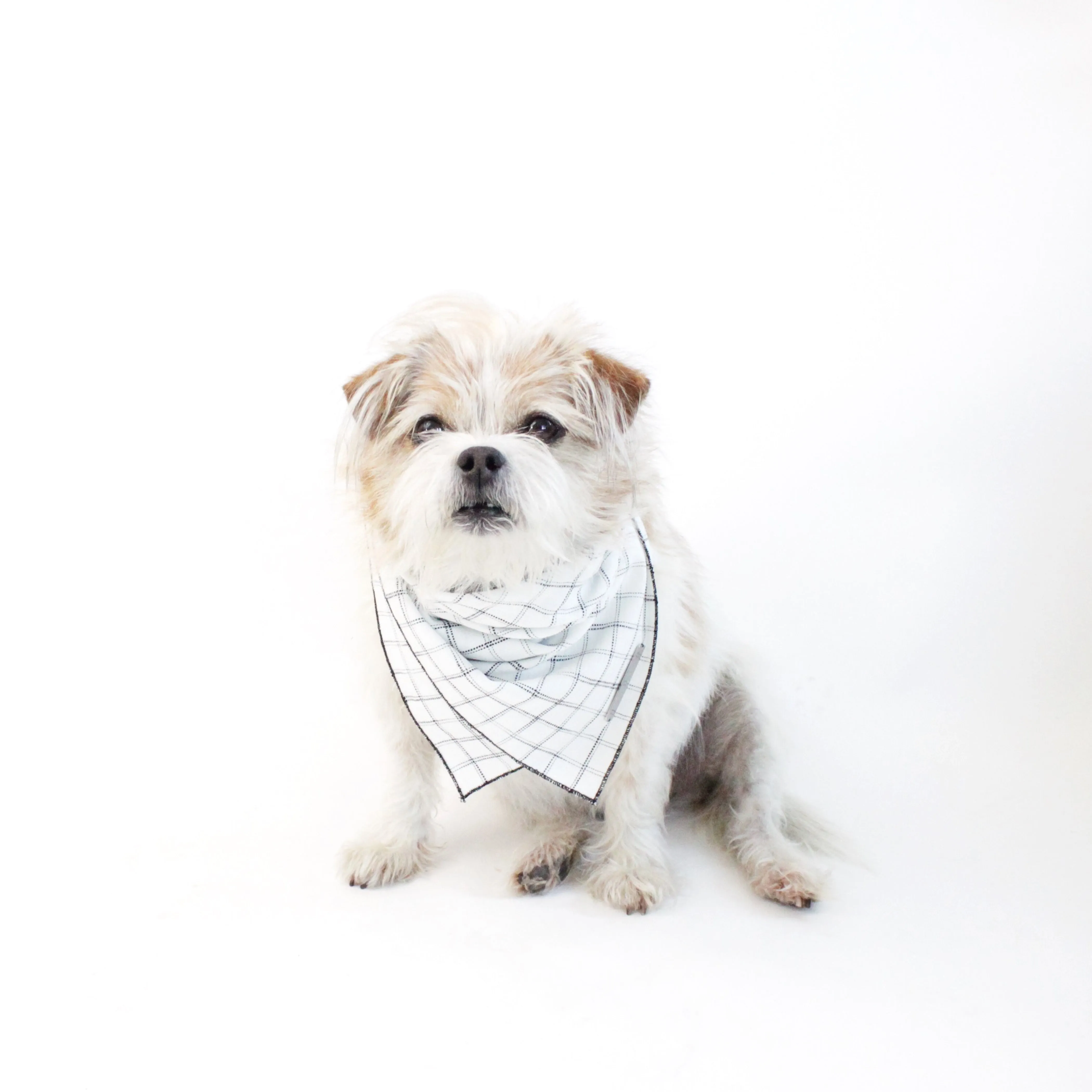 Gus Reversible Scarf Bandana
