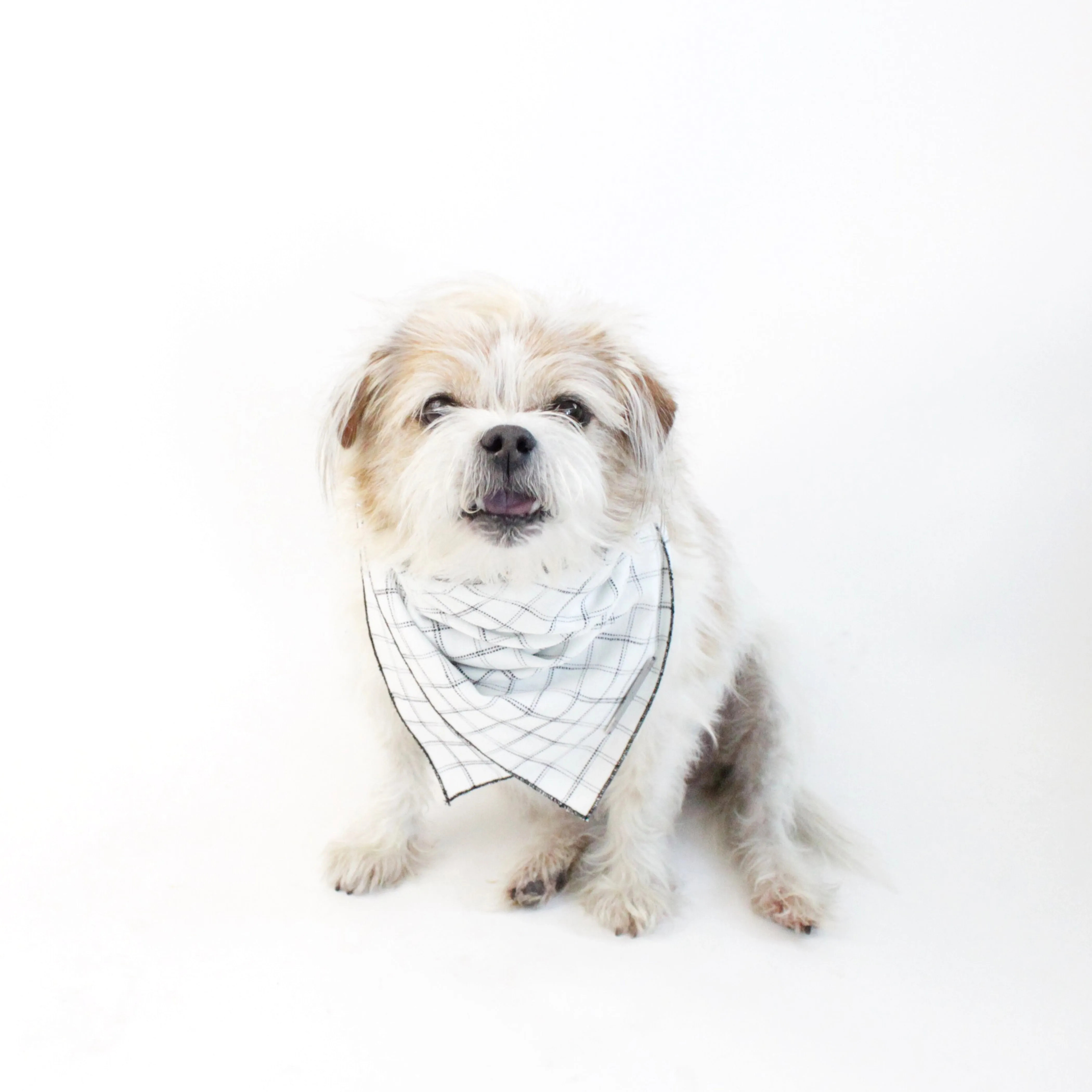 Gus Reversible Scarf Bandana