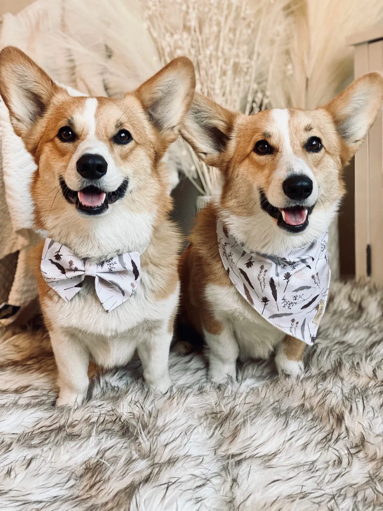 Harper Bandana