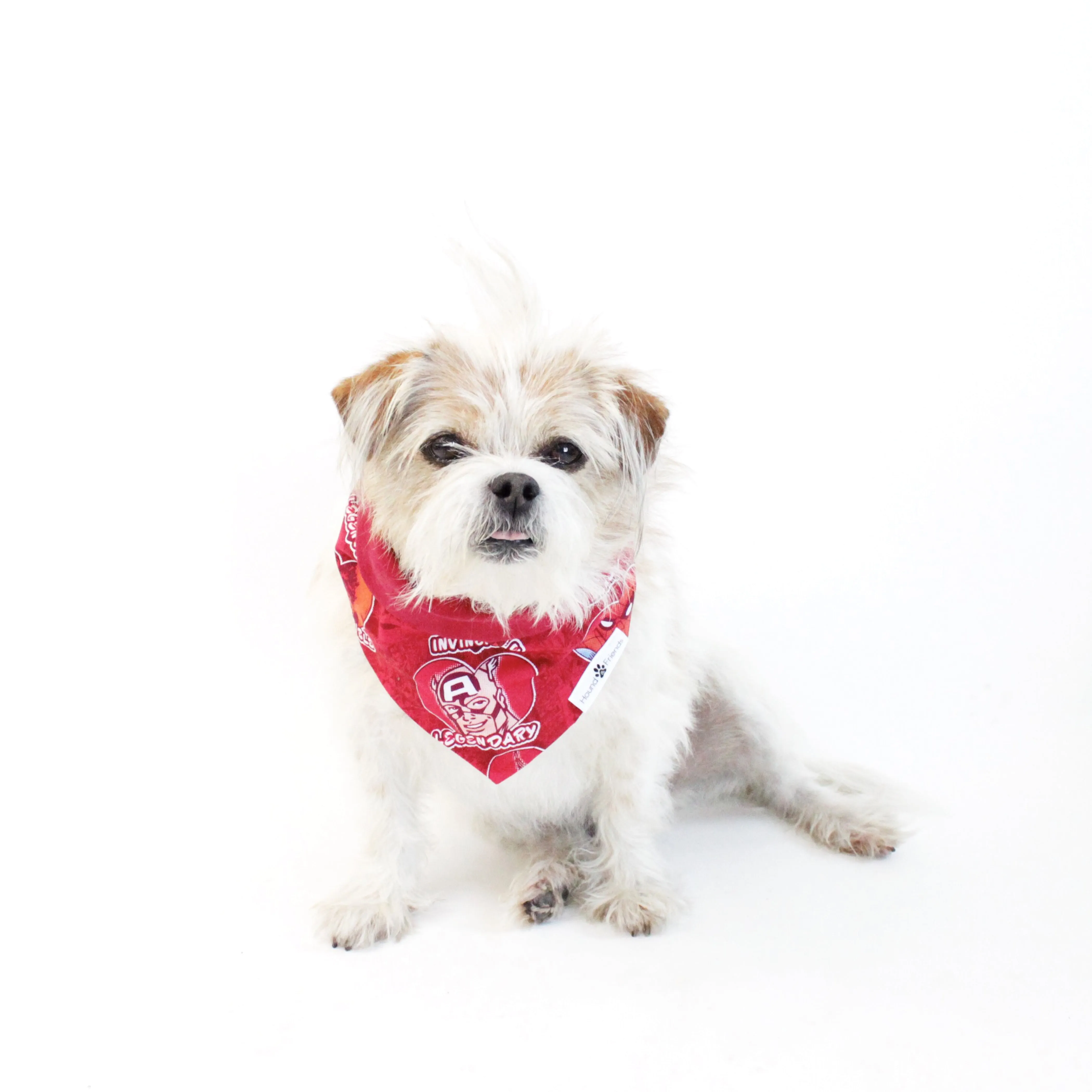 Holidays Bandana Bundles