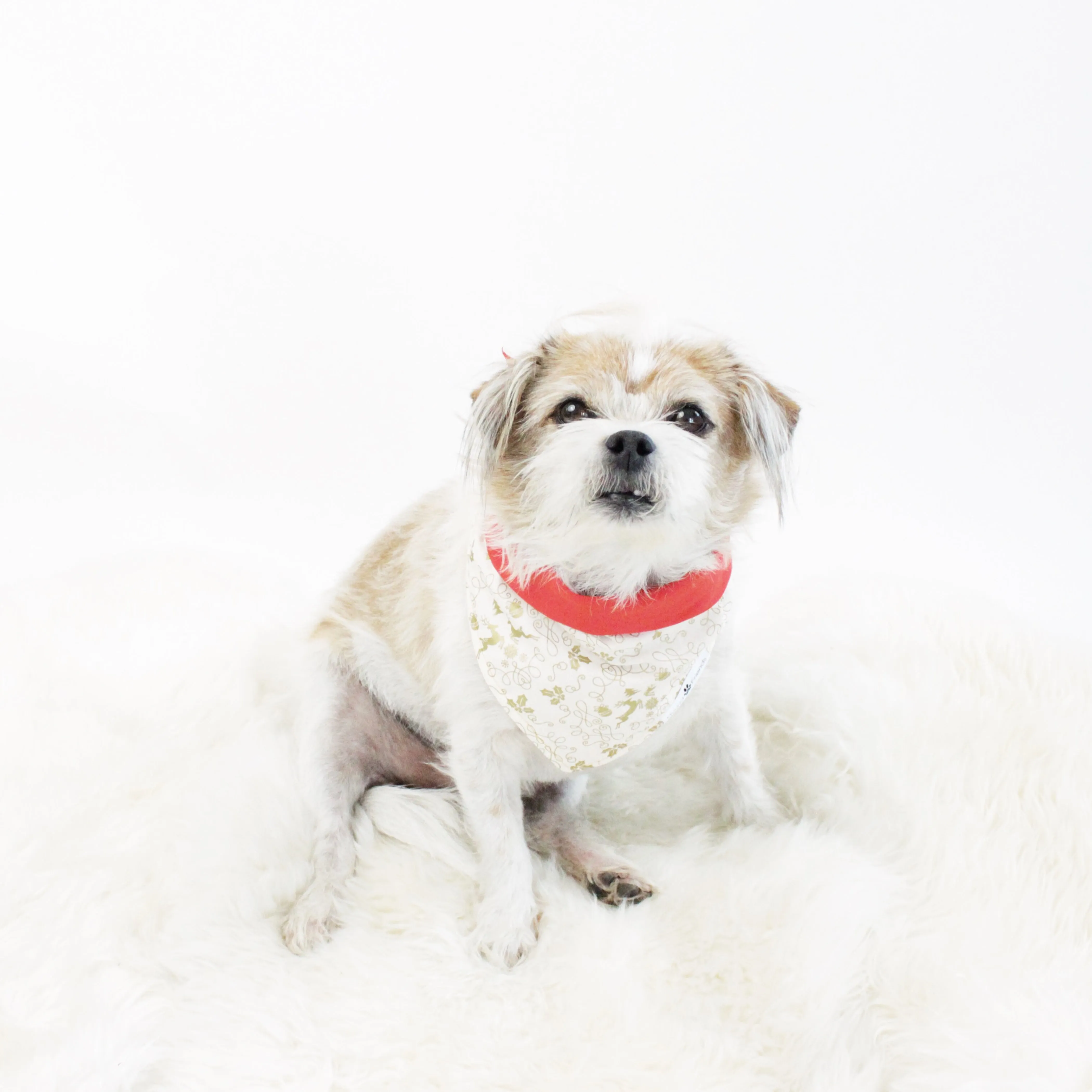 Holidays Bandana Bundles