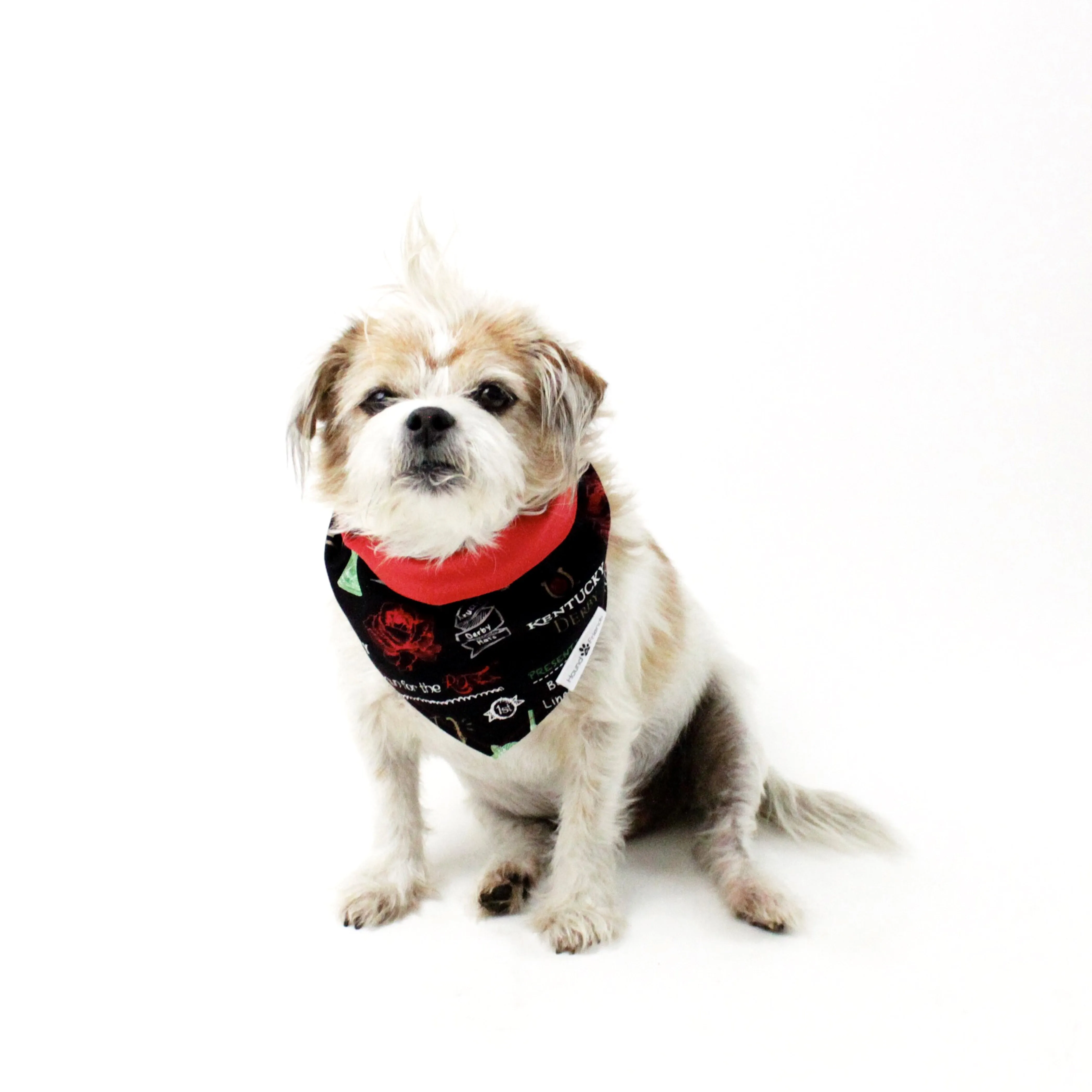 Holidays Bandana Bundles