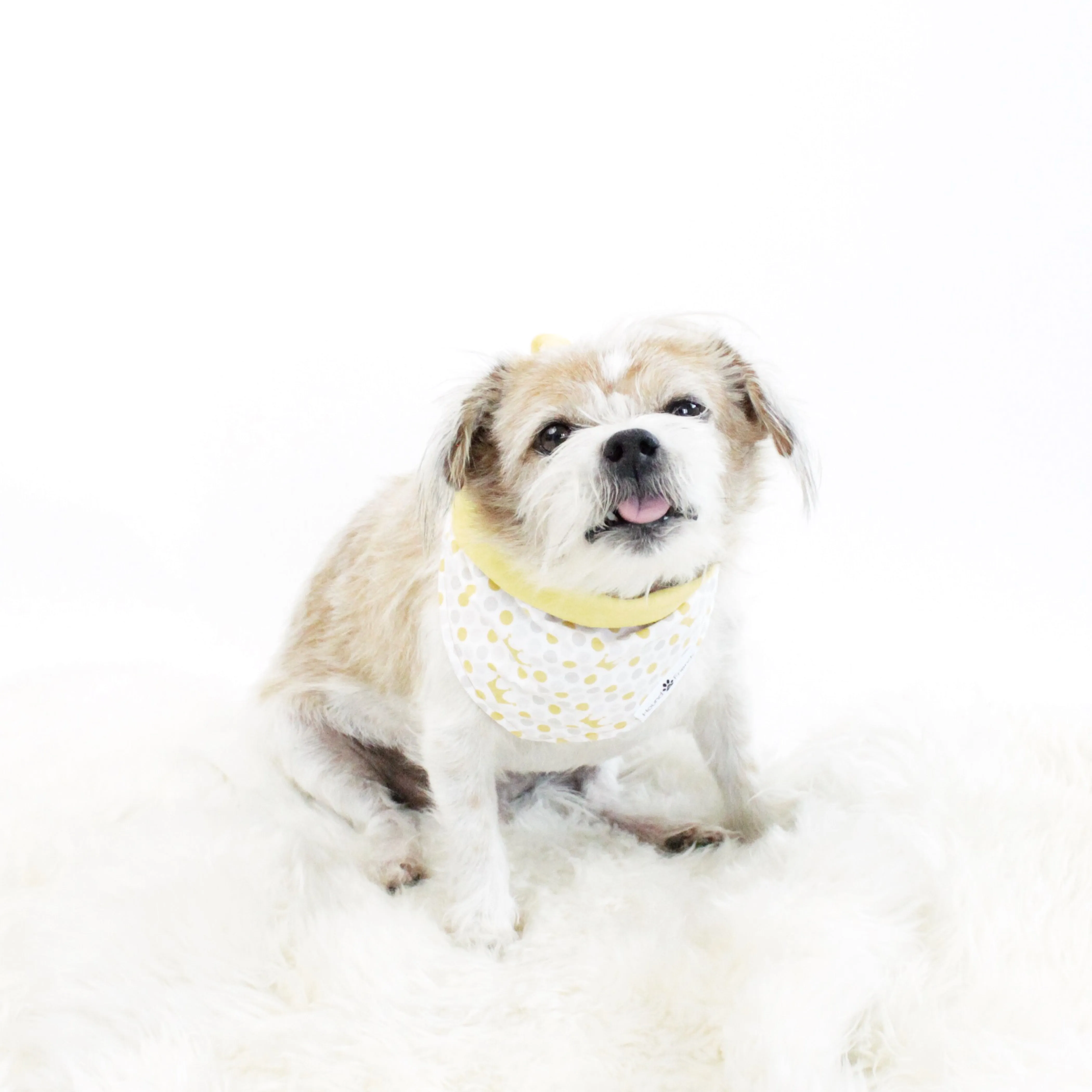 Holidays Bandana Bundles