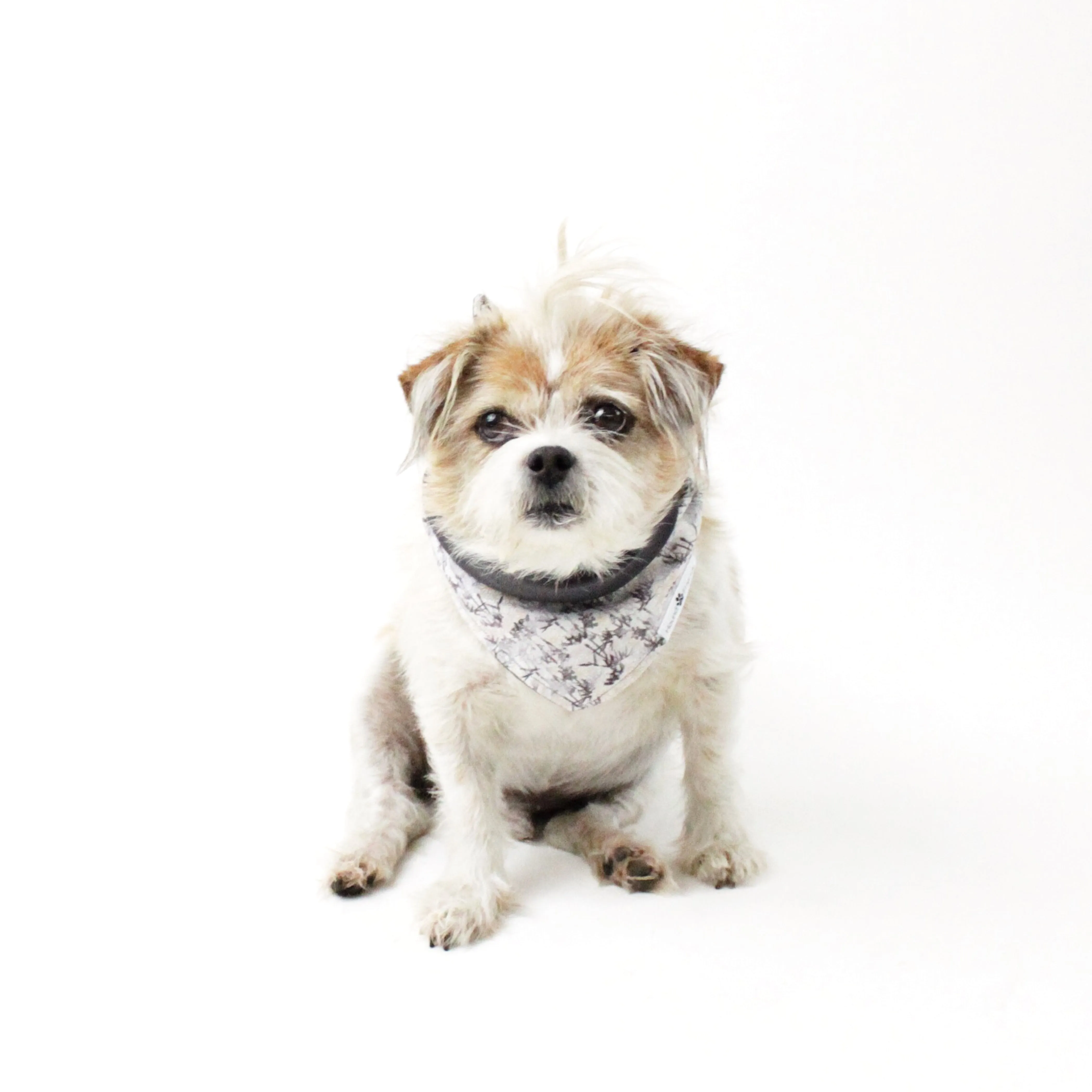 Holidays Bandana Bundles