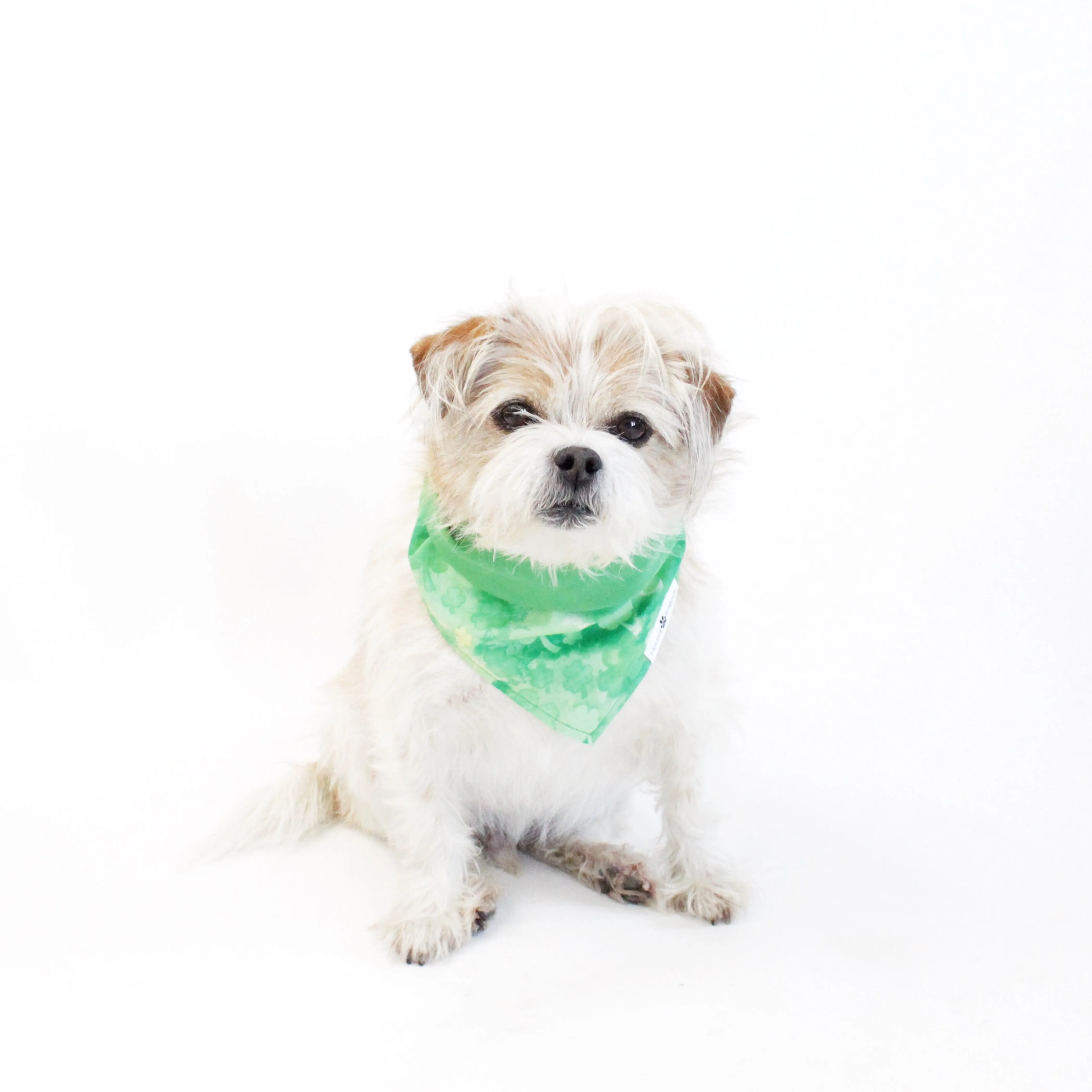 Holidays Bandana Bundles