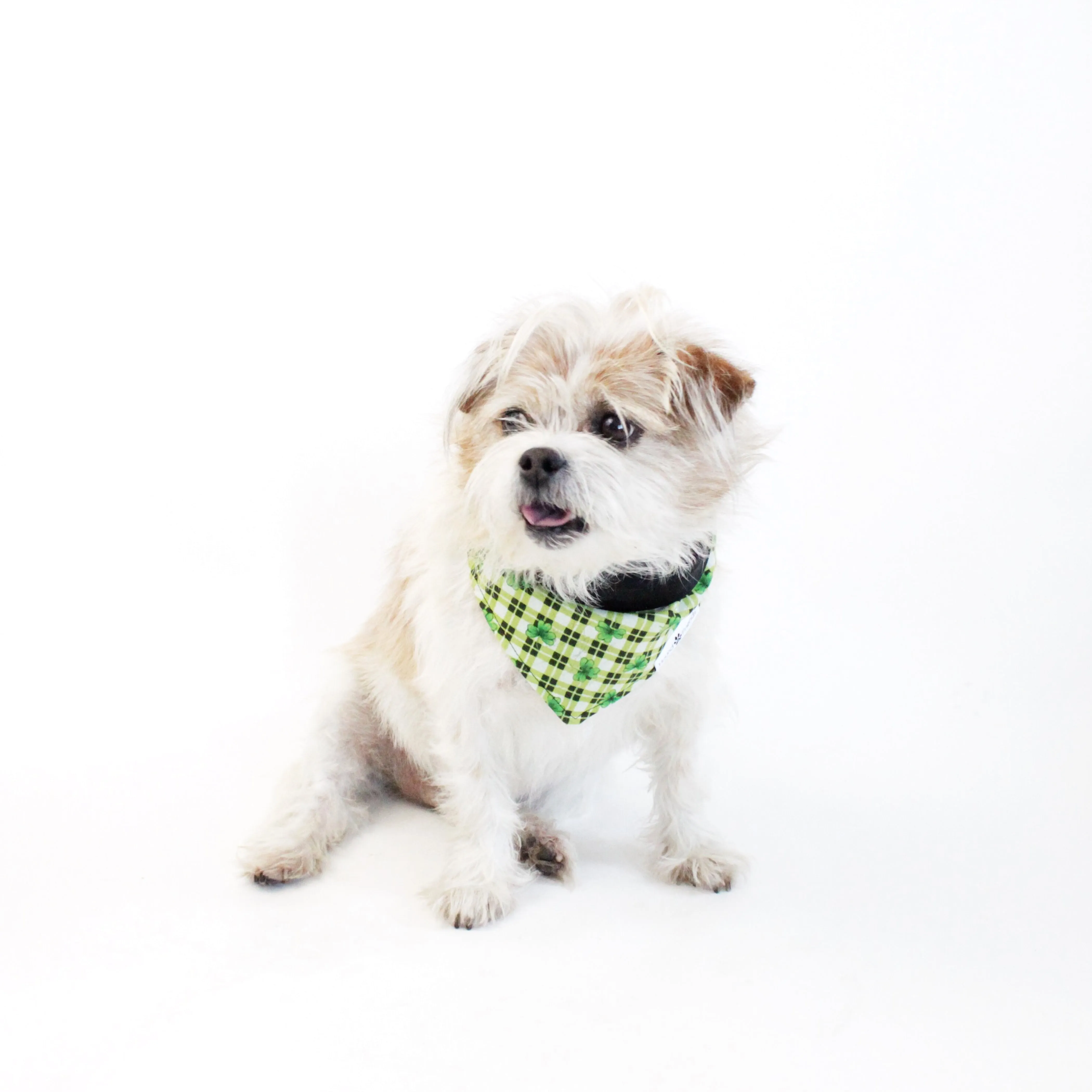Holidays Bandana Bundles