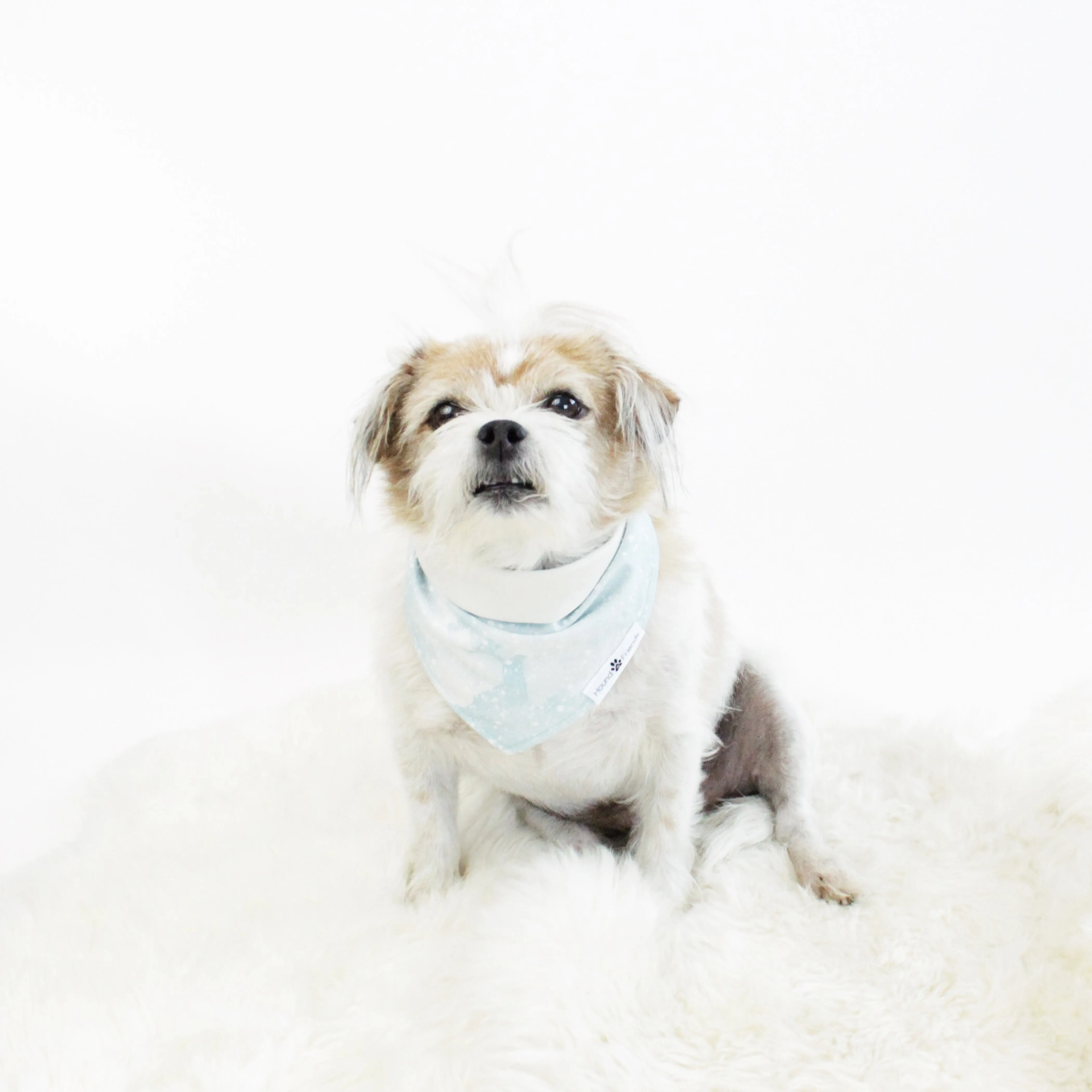 Holidays Bandana Bundles