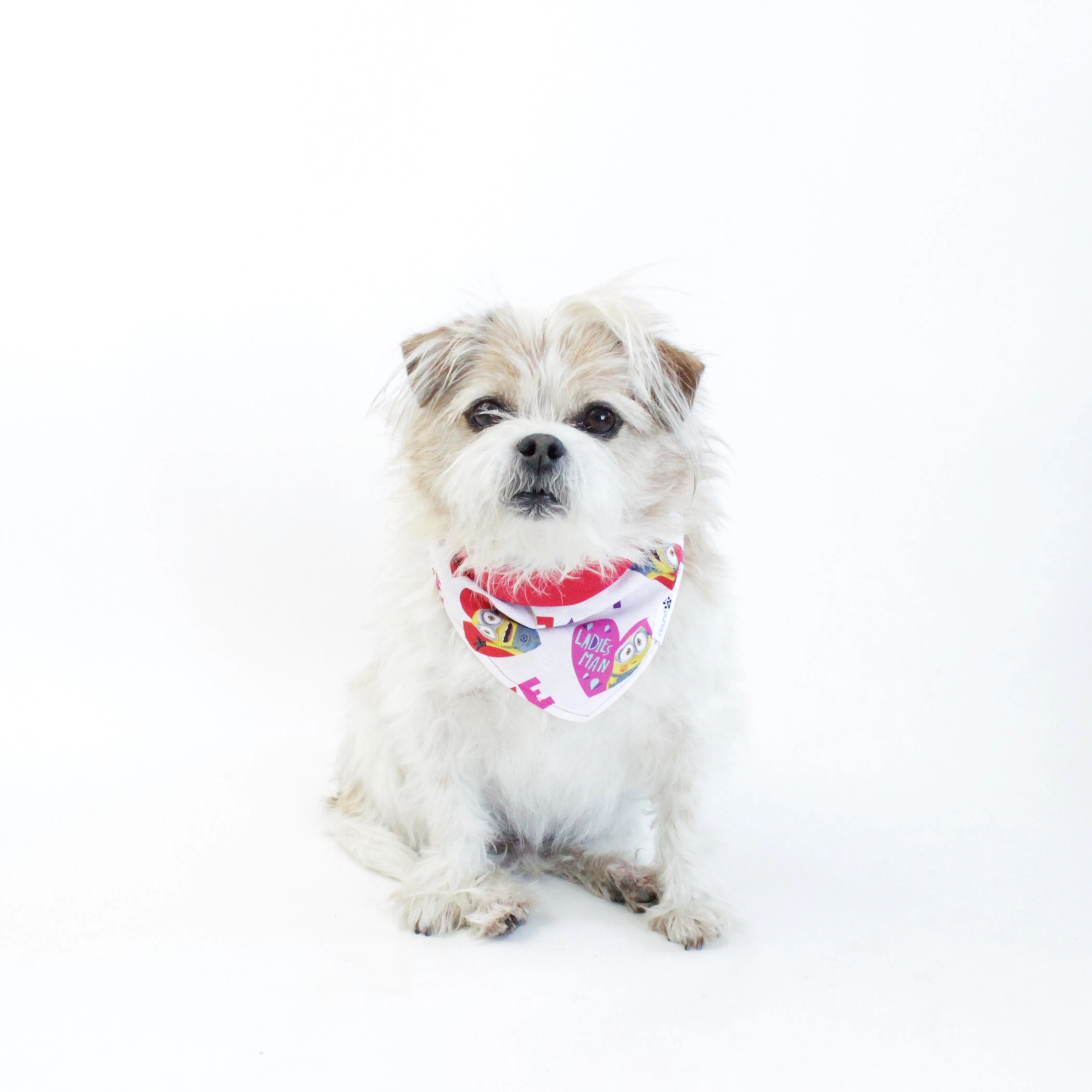Holidays Bandana Bundles