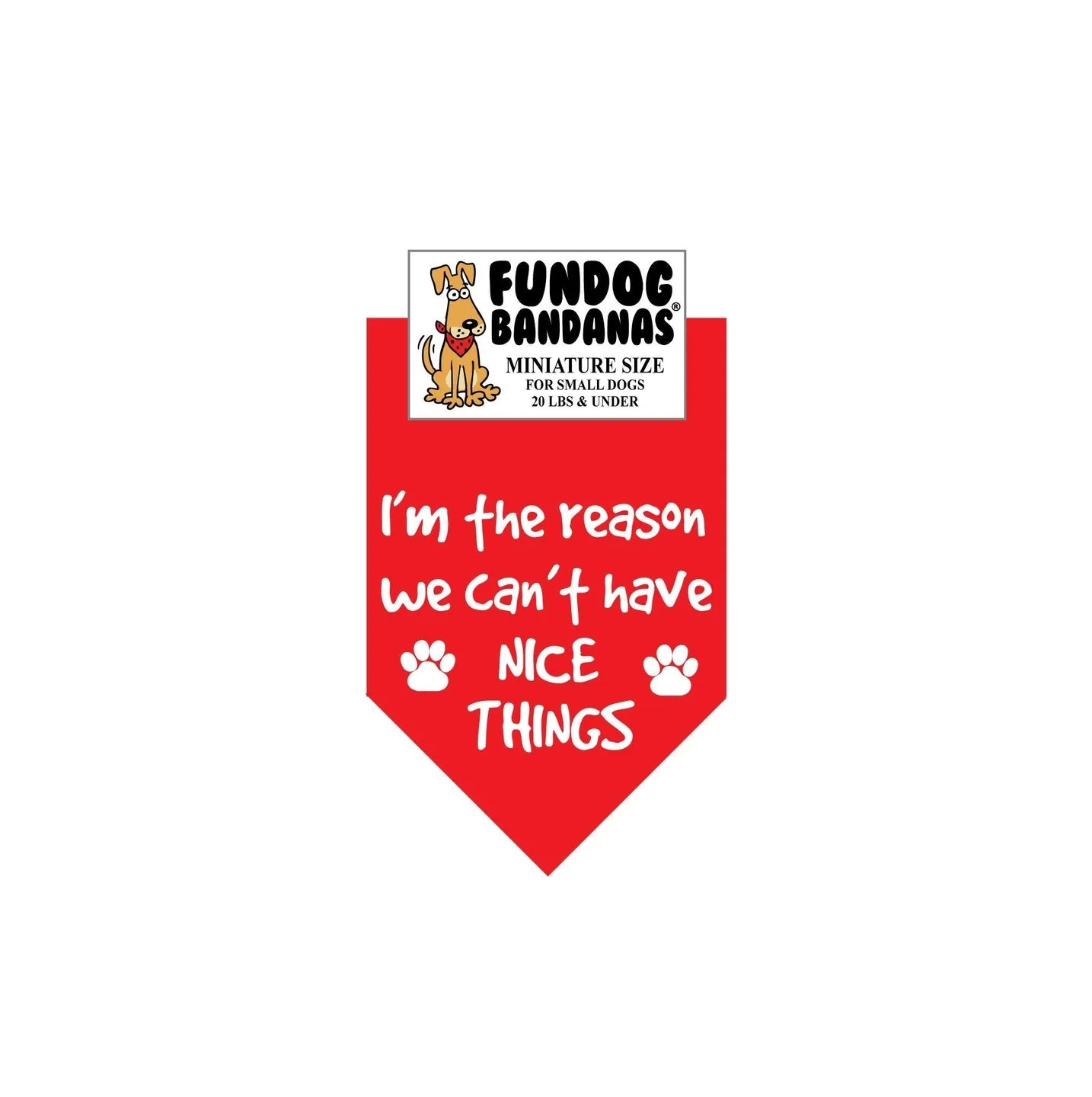 I'M the Reason We Can't Have Nice Things-Made in USA