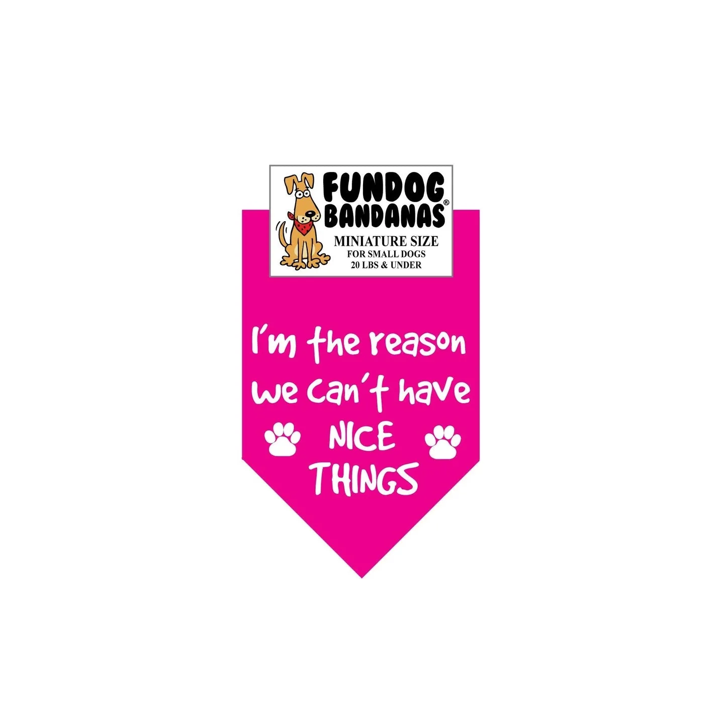 I'M the Reason We Can't Have Nice Things-Made in USA