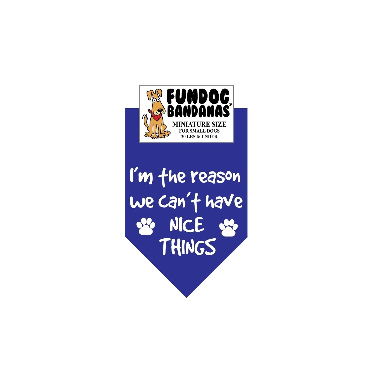 I'M the Reason We Can't Have Nice Things-Made in USA