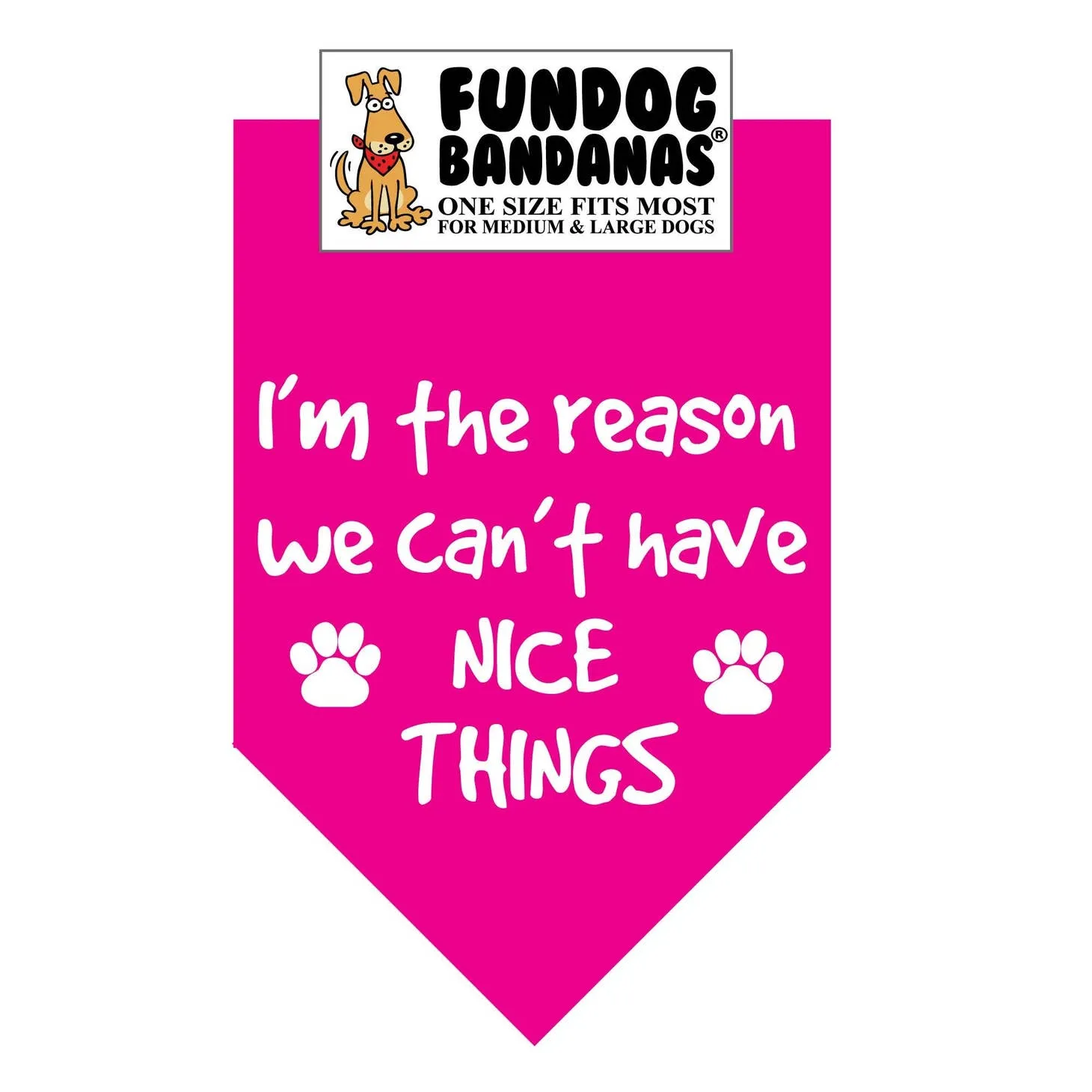 I'M the Reason We Can't Have Nice Things-Made in USA