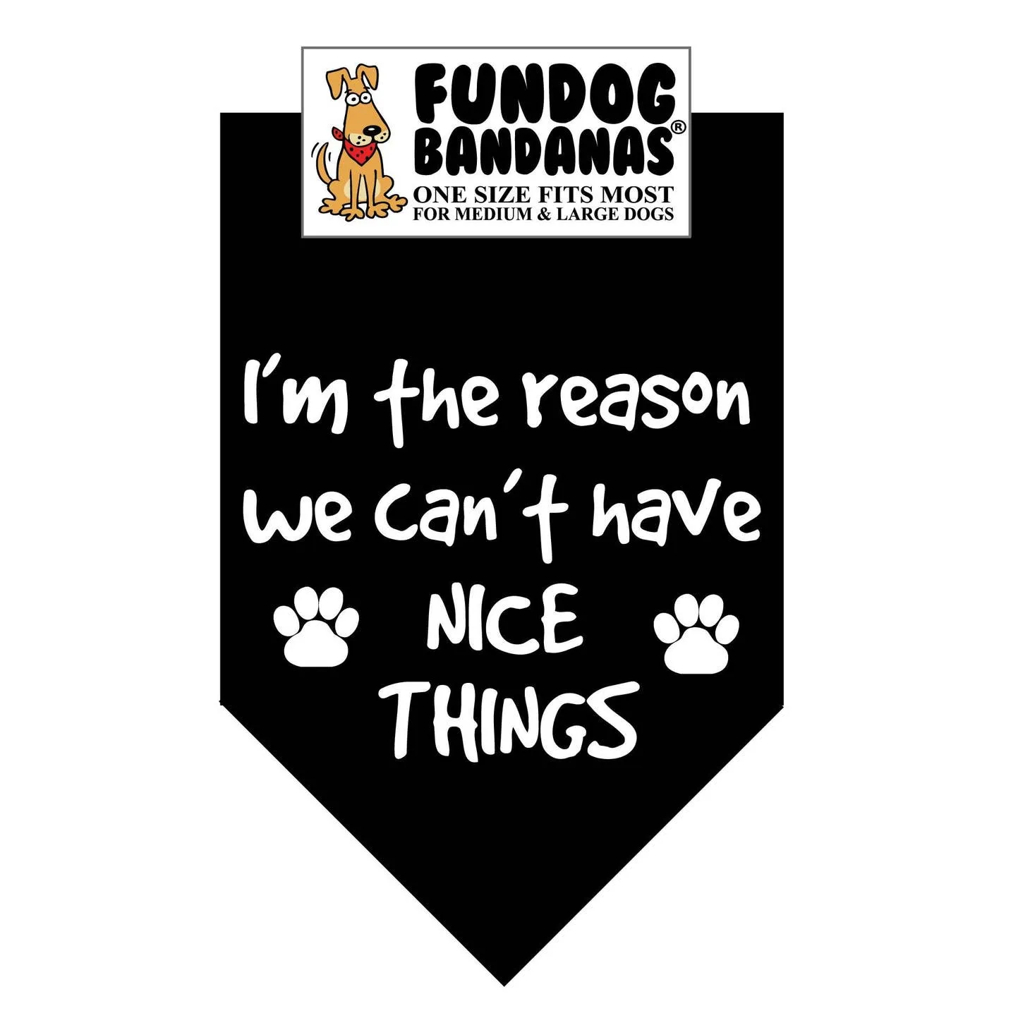 I'M the Reason We Can't Have Nice Things-Made in USA