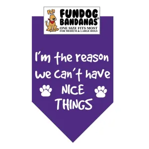 I'M the Reason We Can't Have Nice Things-Made in USA
