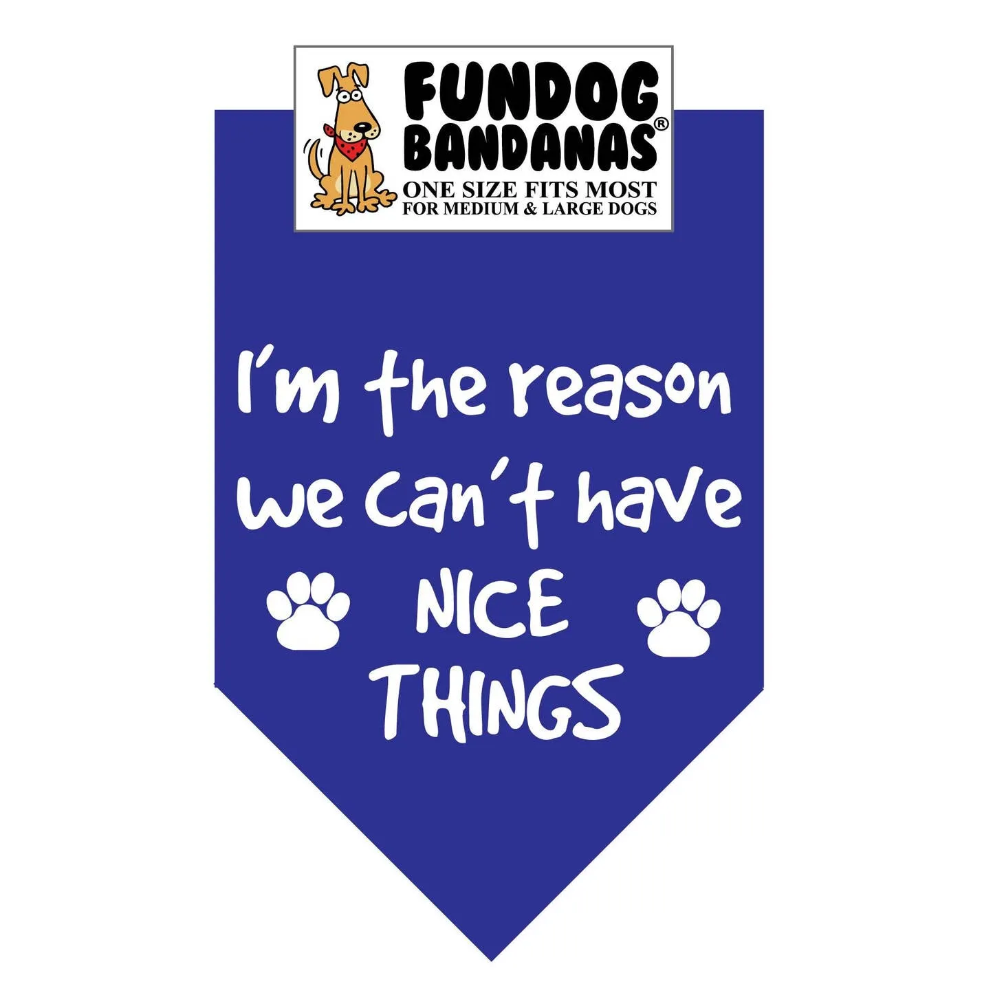 I'M the Reason We Can't Have Nice Things-Made in USA